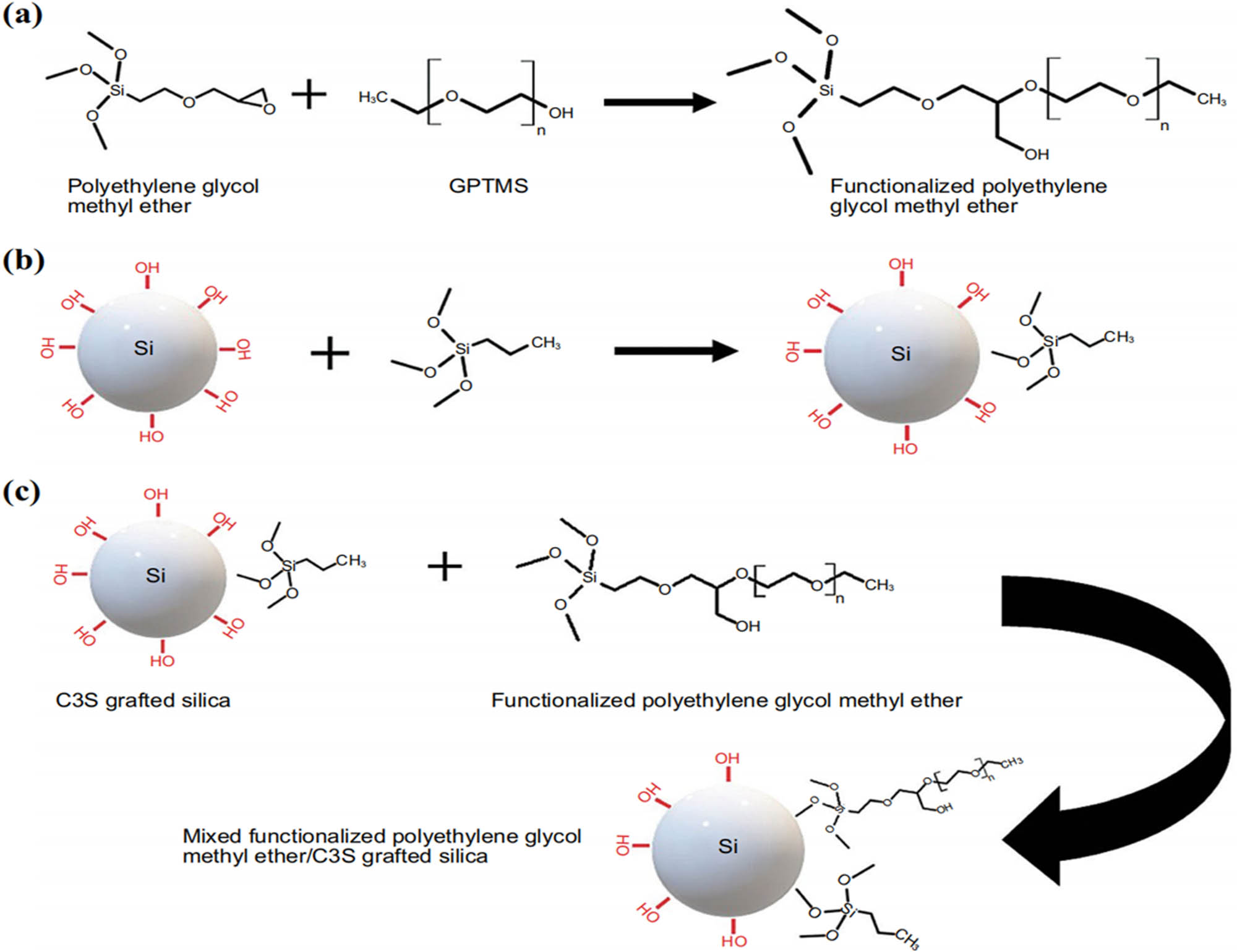 Figure 2 
                  Chemical reaction steps: (a) the functionalized polyethylene glycol methyl ether by GPTMS, (b) the modified silica by trimethoxy (propyl) silane (C3S), and (c) the addition of functionalized polyethylene glycol methyl ether on the surface of the modified silica with C3S [88].
               