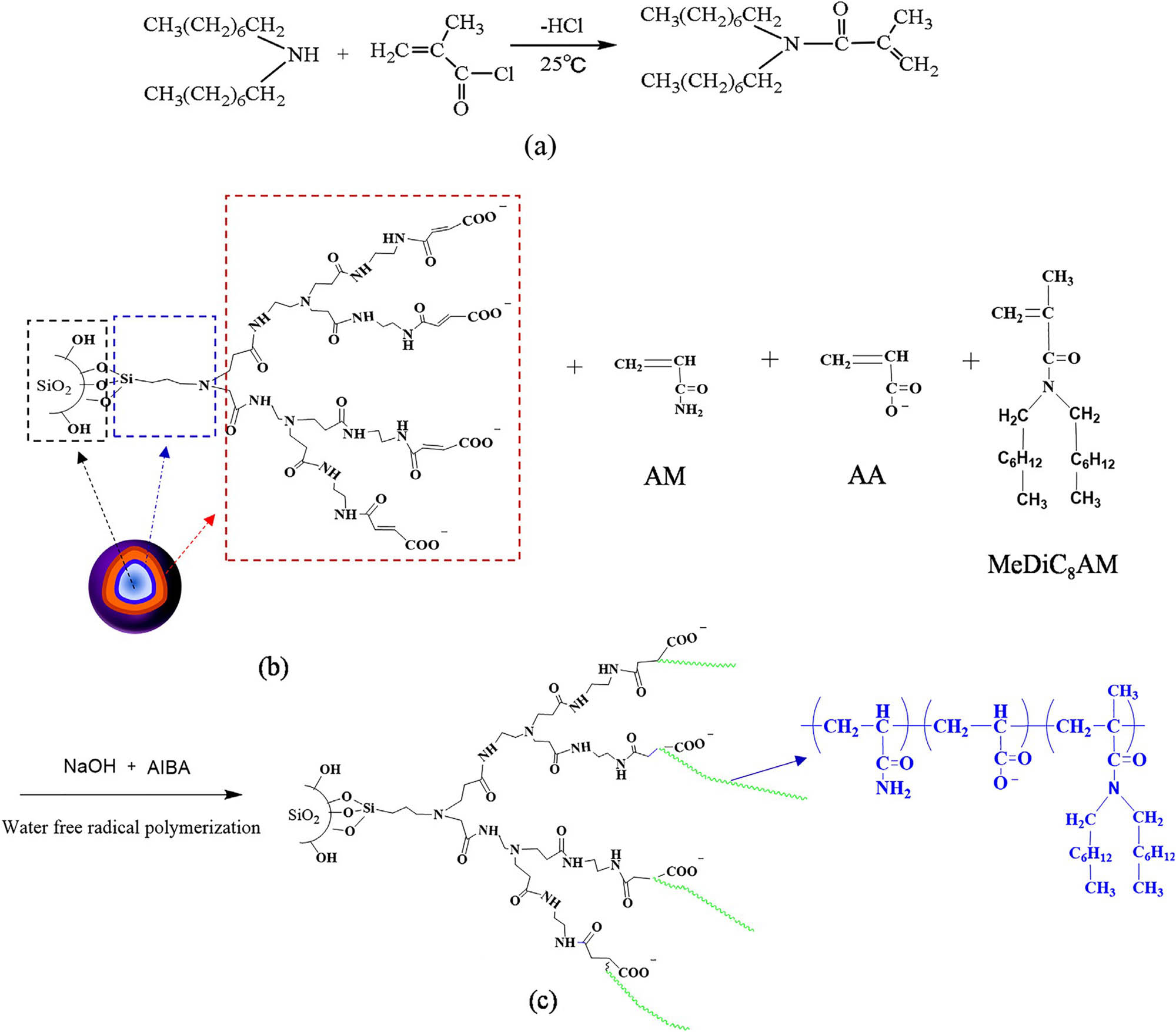 Figure 3 
                  Synthesis method of SHPAM [98]. (a) MeDiC8AM, (b) FNPs (diameter of 30 nm), and (c) SHPAM.
               