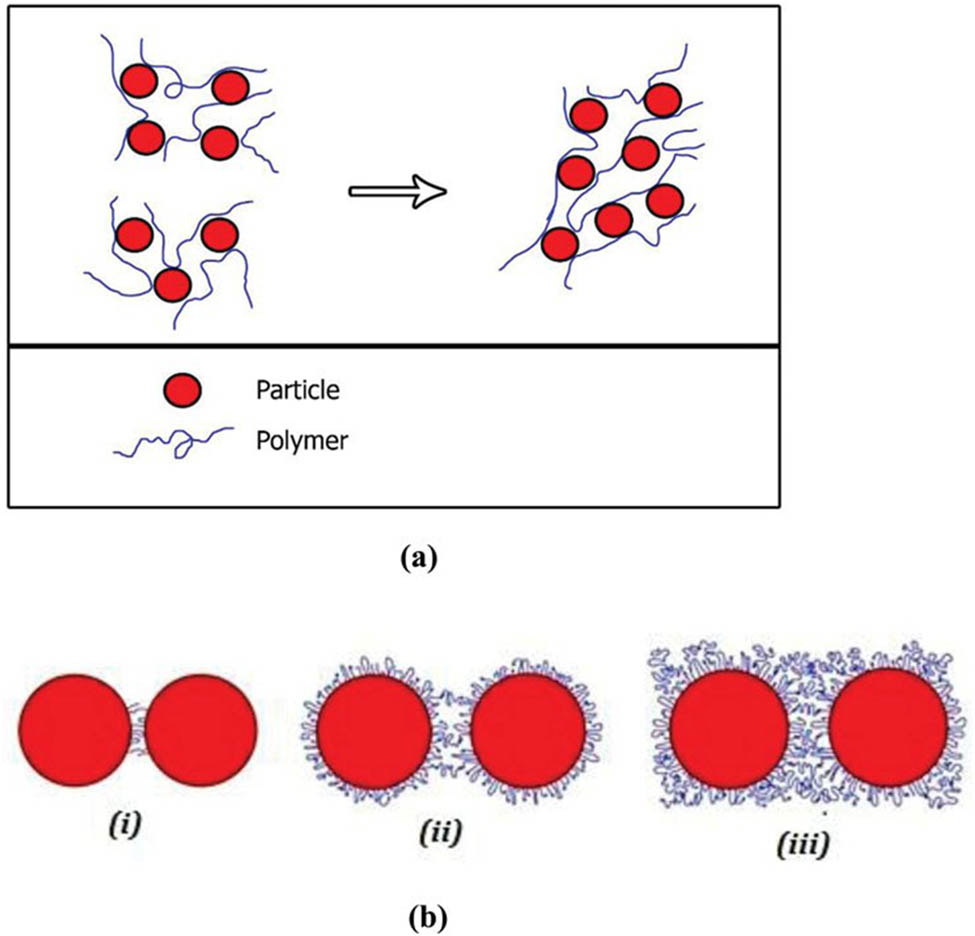 Figure 4 
                  (a) Mechanism of irreversible bridging of silica particles through adsorption of PAM on silica surface. (b) Effect of polymer concentration on degree of bridging of silica particle in silica/PAM suspension [120].
               