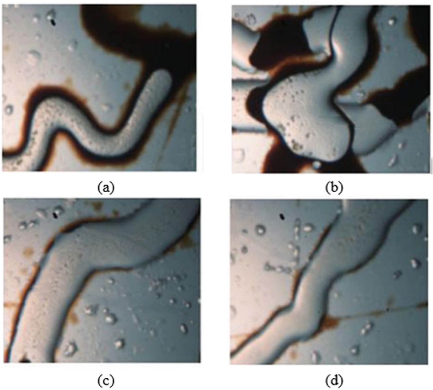 Figure 5 
                  Pore scale visualization of wettability, oil (brown), and solution (white): (a) oil films on the wall of throats show an oil-wet porous medium, (b) trapped polymers in pores and throats show an oil-wet porous medium, (c) partial remained oil due to incomplete silica adsorption onto medium surface, (d) absence of oil films shows water-wetting property in throats after DSNP solution flooding [143].
               