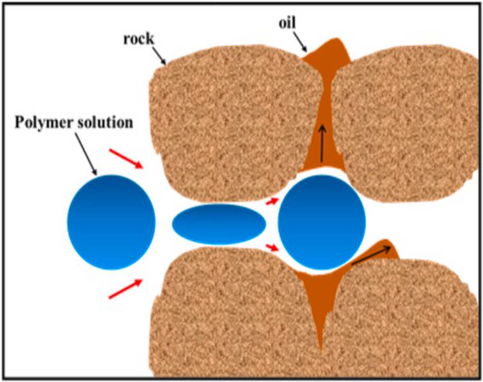 Figure 7 
                  Viscoelastic polymer flooding mechanism [119].
               