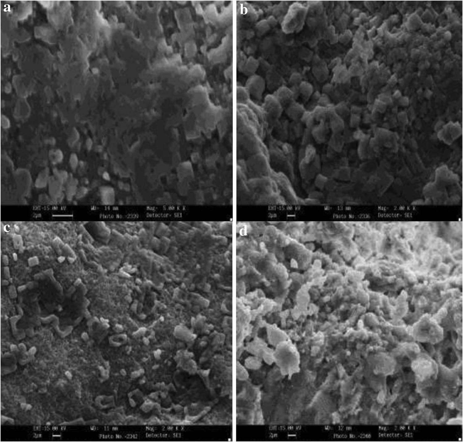 Figure 8 
                  SEM micrograms of the NP absorbed by the reservoir rock. Clay NP: (a) sandstone sample and (b) carbonate sample. SiO2 NP: (c) sandstone sample and (d) carbonate sample [189].
               