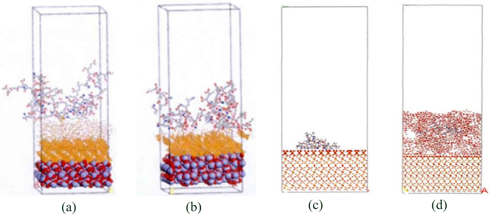 Figure 12 
                     (a) Octyltrimethoxysilane-modified silica and acrylic–acrylamide copolymer layered model [248], (b) vinyltrimethoxysilane-modified silica and acrylic–acrylamide copolymer layered model [248], (c) PAM/SiO2 interface model [249], and (d) PAM/H2O/SiO2 interface model [249].
                  