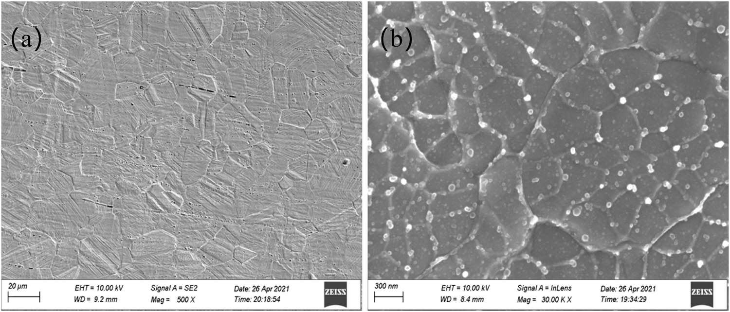 Figure 4 
                  The structures of 316L metal wire (a) before and (b) after electrical explosion spraying.
               