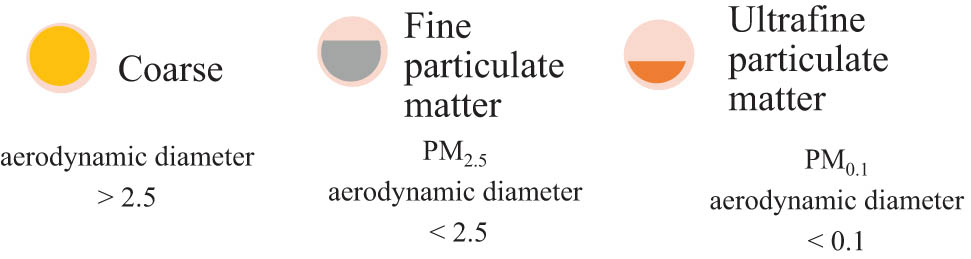 Scheme 2
Categories of PM in the atmosphere (PM
x
stands for the PM where the number (i.e., x) signifies that the average mean diameter is less than x μm).