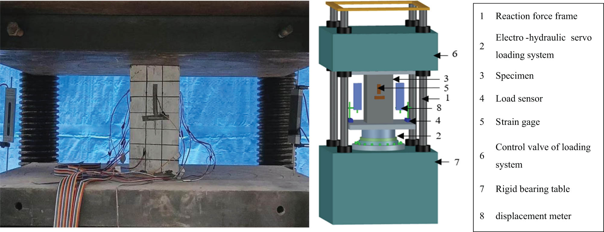 Figure 4 
                  Test specimen under compressive loading.
               