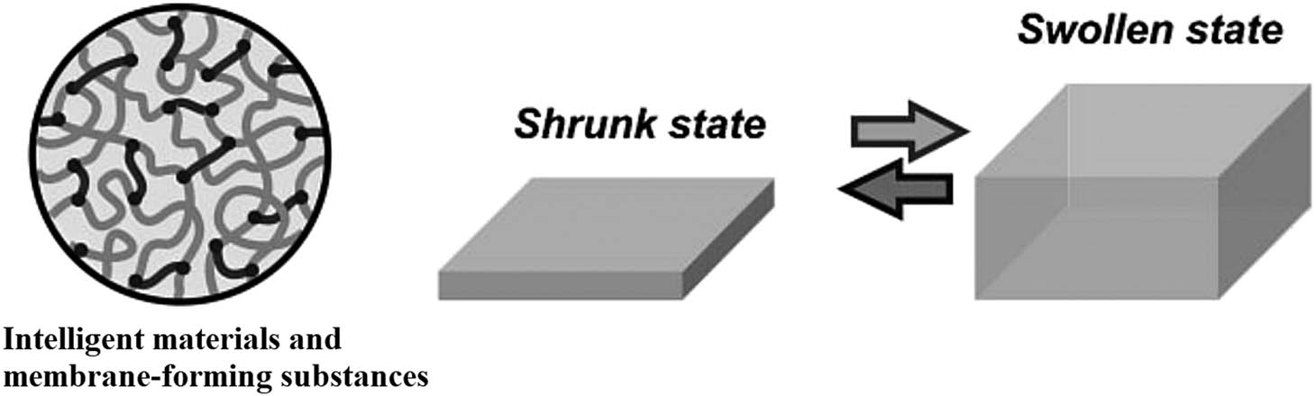 Figure 2 
               Expansion and shrinkage of smart membranes [76].
            