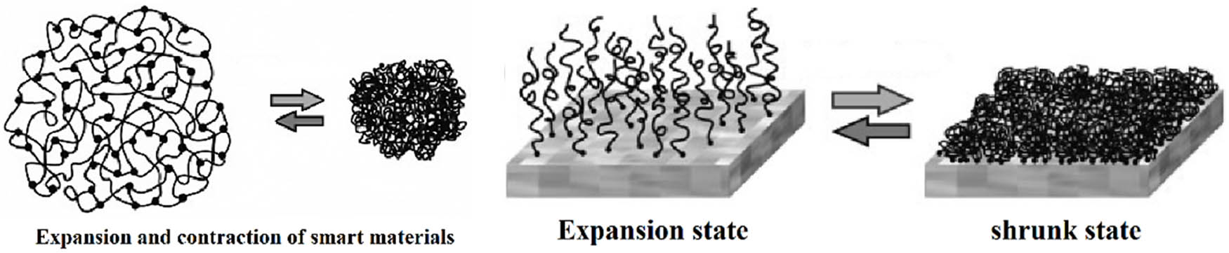 Figure 4 
               Expansion and shrinkage of smart membranes (Smart material are distributed on the membrane surface) [76].
            
