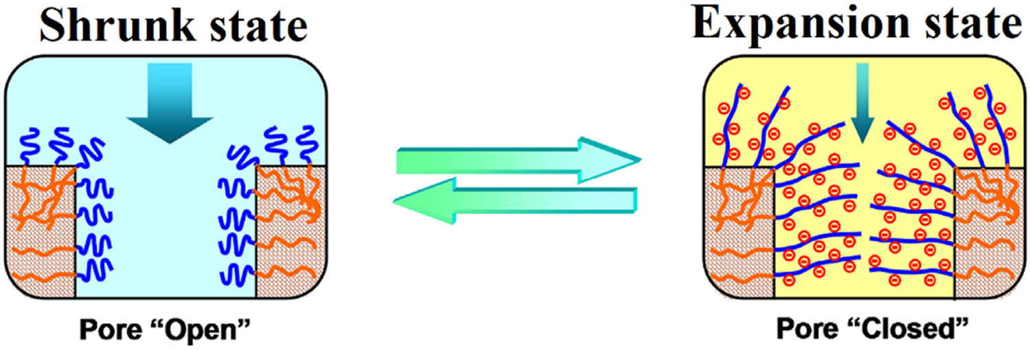 Figure 5 
               Expansion and shrinkage of smart membranes (Smart material are distributed on the surface or pores of the membrane) [77].
            
