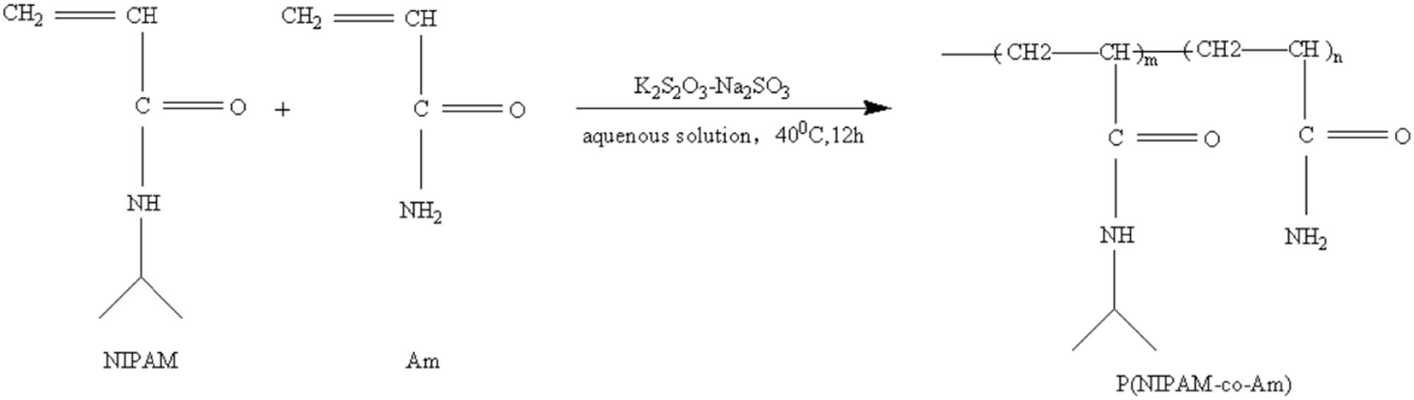 Figure 7 
                  Synthesis route of copolymer P(NIPAAm-co-Am) [82].
               