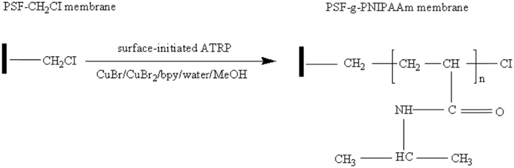 Figure 8 
                  Preparation of thermal responsive PSF membrane [83].
               