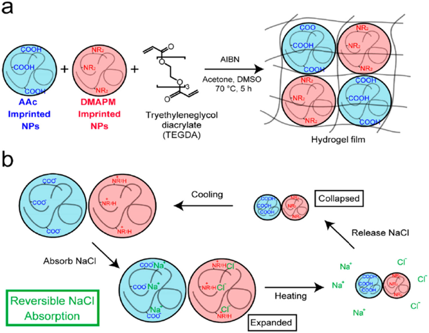 Figure 9 
                  (a) Experimental schematic diagram of membrane; (b) proposed mechanism for reversible NaCl absorption by the membrane [85].
               