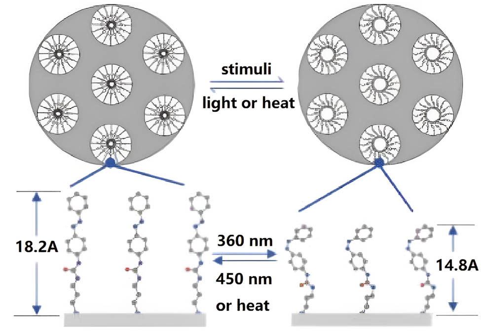 Figure 11 
                  Schematic diagram of preparation of membrane composites [90].
               
