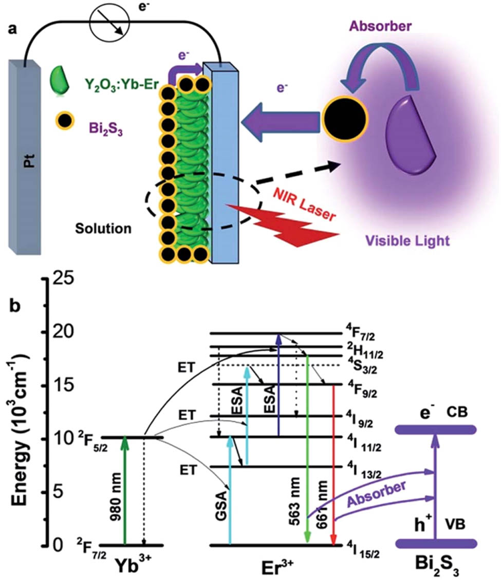 Figure 12 
                  (a) Schematic representation of the fabrication process for the thin composite membrane; (b) energy diagram of the energy transfer process and emission process of the composite membrane [92].
               