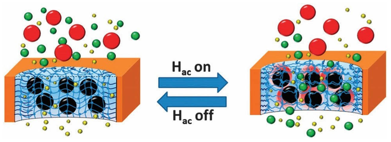 Figure 15 
                  Schematic diagram of new magnetic hydrogel porous composite membrane [108].
               