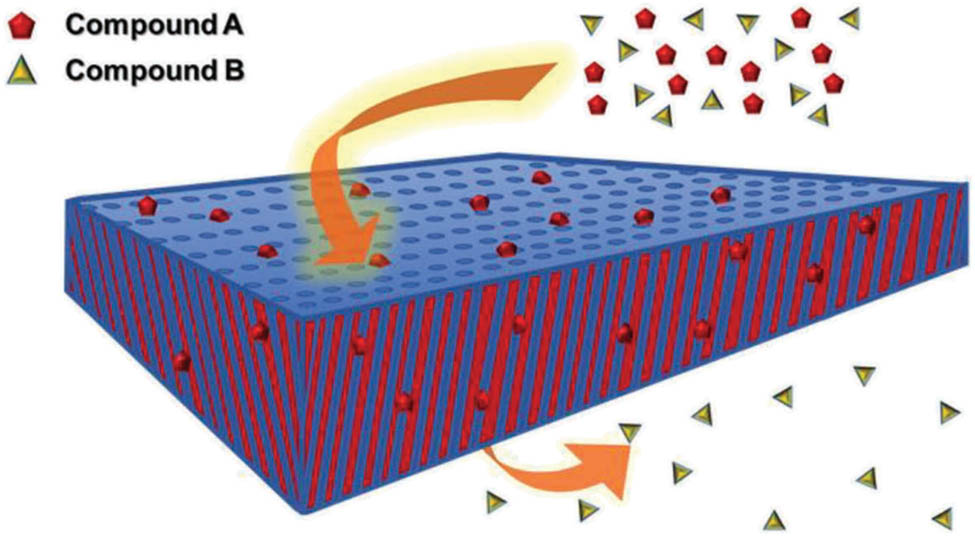 Figure 23 
                  Filtration diagram of molecular recognition membrane [125].
               