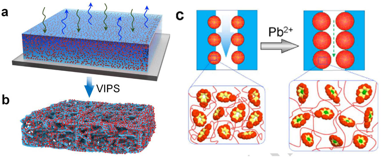 Figure 25 
                  (a and b) Fabrication of membrane with three-dimensionally interconnected porous structure; (c) the PNB nanogels on the membrane pore surfaces exhibit isothermal swelling after recognizing Pb2+ and form 18-crown-6/Pb2+ host–guest complexes, resulting in the decrease in trans-membrane flux [135].
               