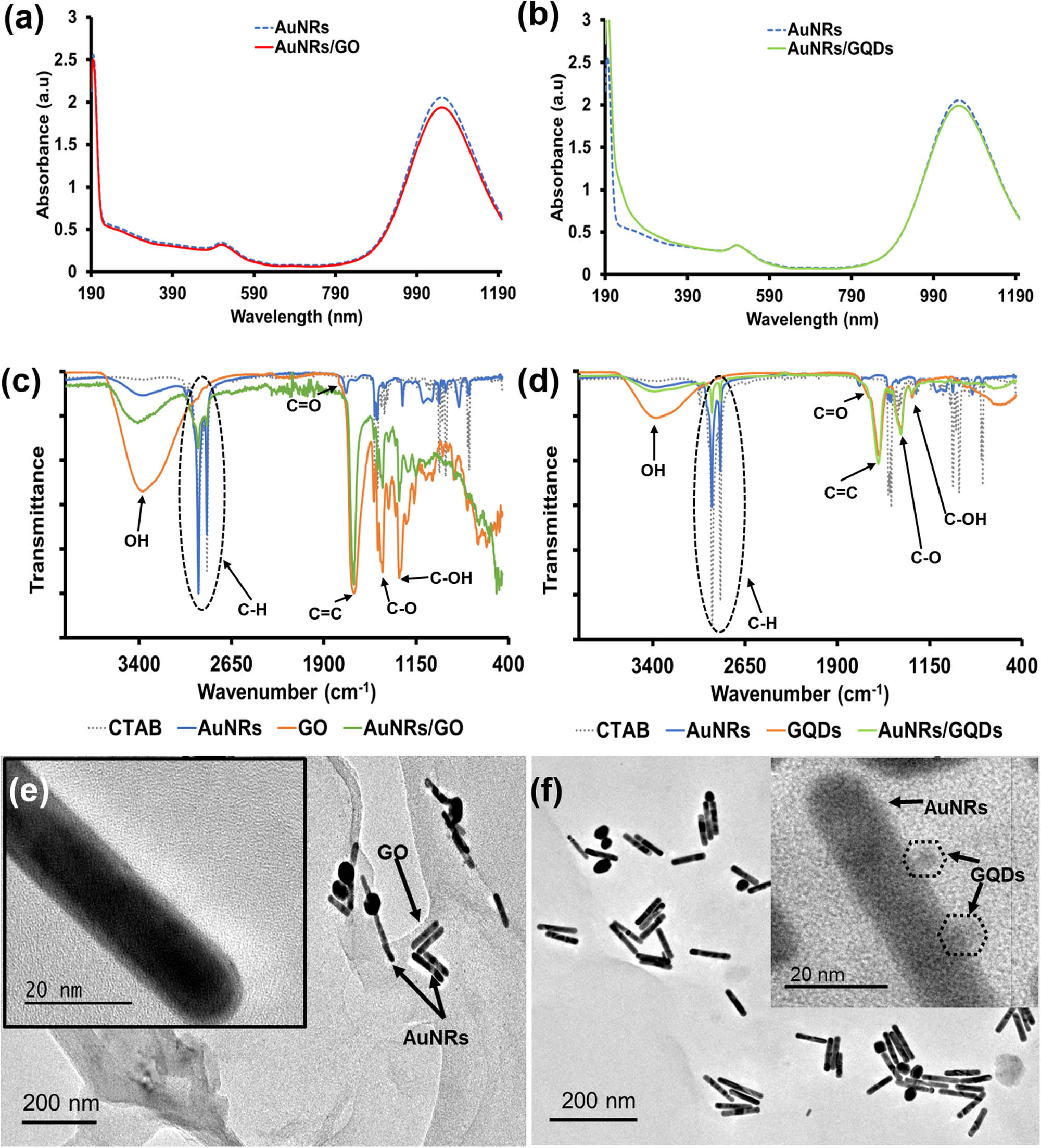 Figure 2 
                  Absorption spectra of (a) AuNRs/GO and (b) AuNRs/GQDs. (c) FTIR spectra of AuNRs, GO, and AuNRs/GO. (d) FTIR spectra of AuNRs, GQDs, and AuNRs/GQDs. (e) TEM image of AuNRs/GO (scale 200 and 20 nm) and (f) TEM image of AuNRs/GQDs (scale 200 and 20 nm).
               