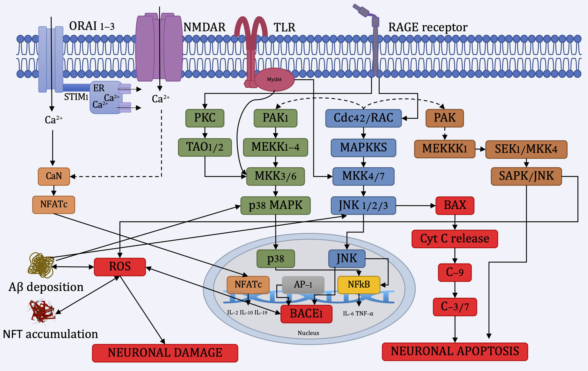 Teaser image from the article