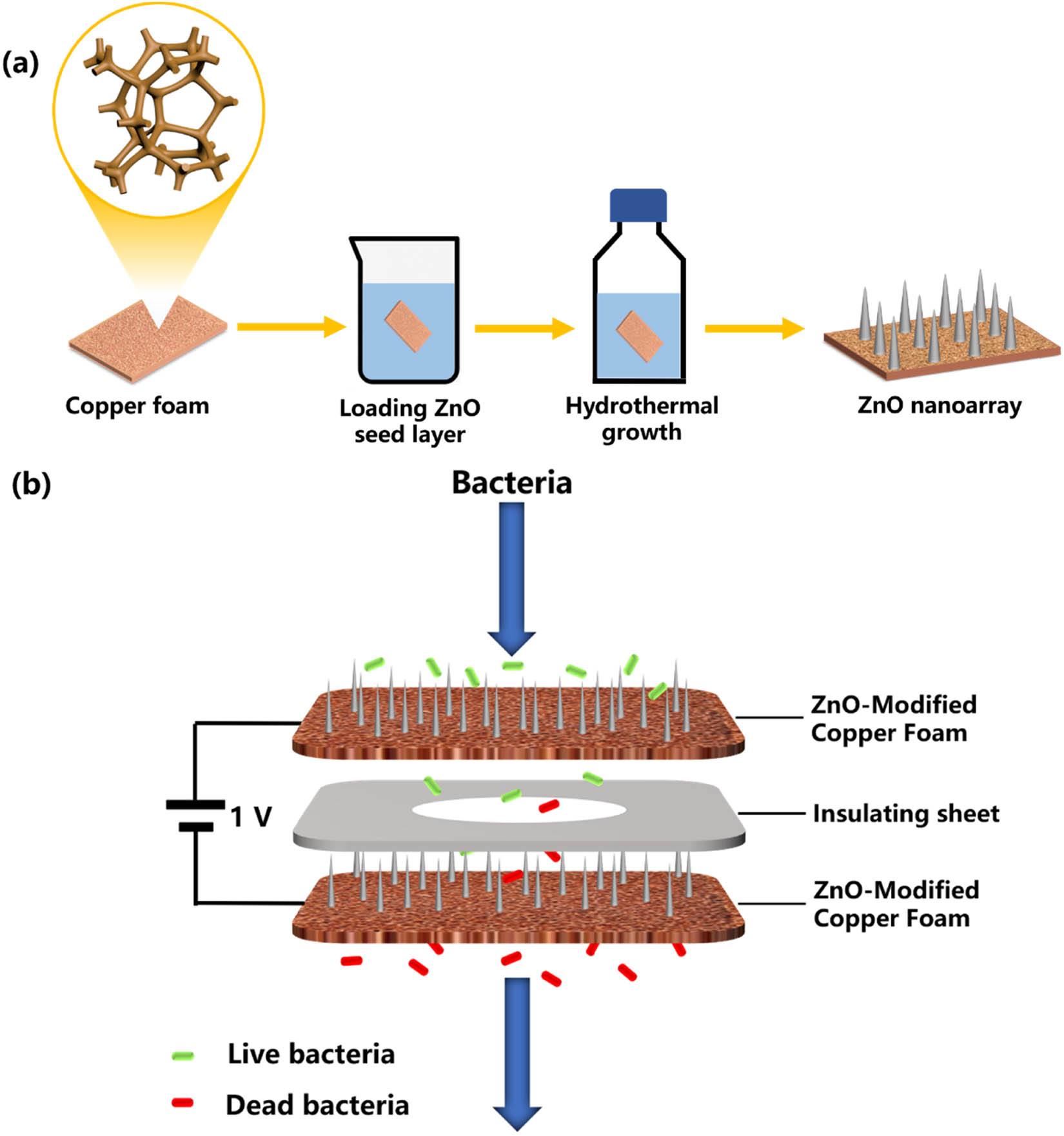 Teaser image from the article