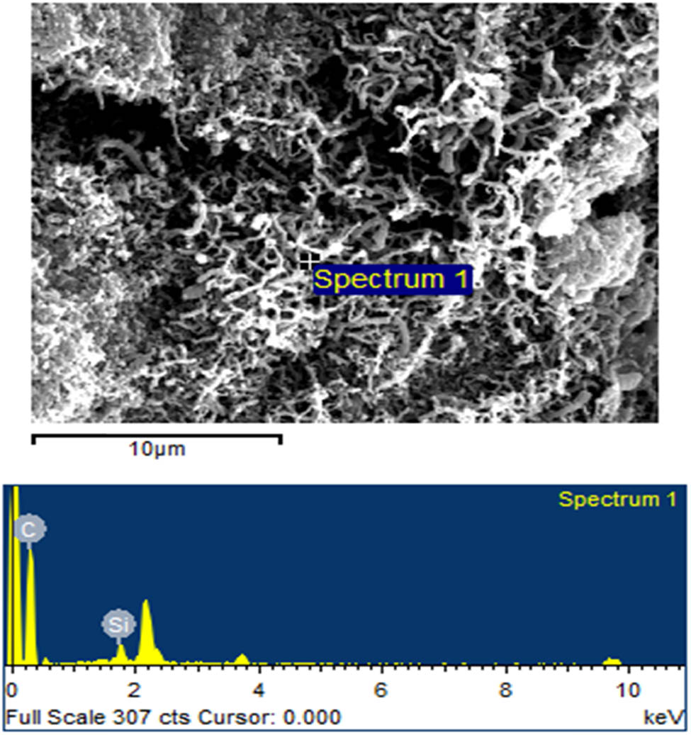 Figure 7 
                  Microstructure and EDS analysis of GNFs (5,000×).
               