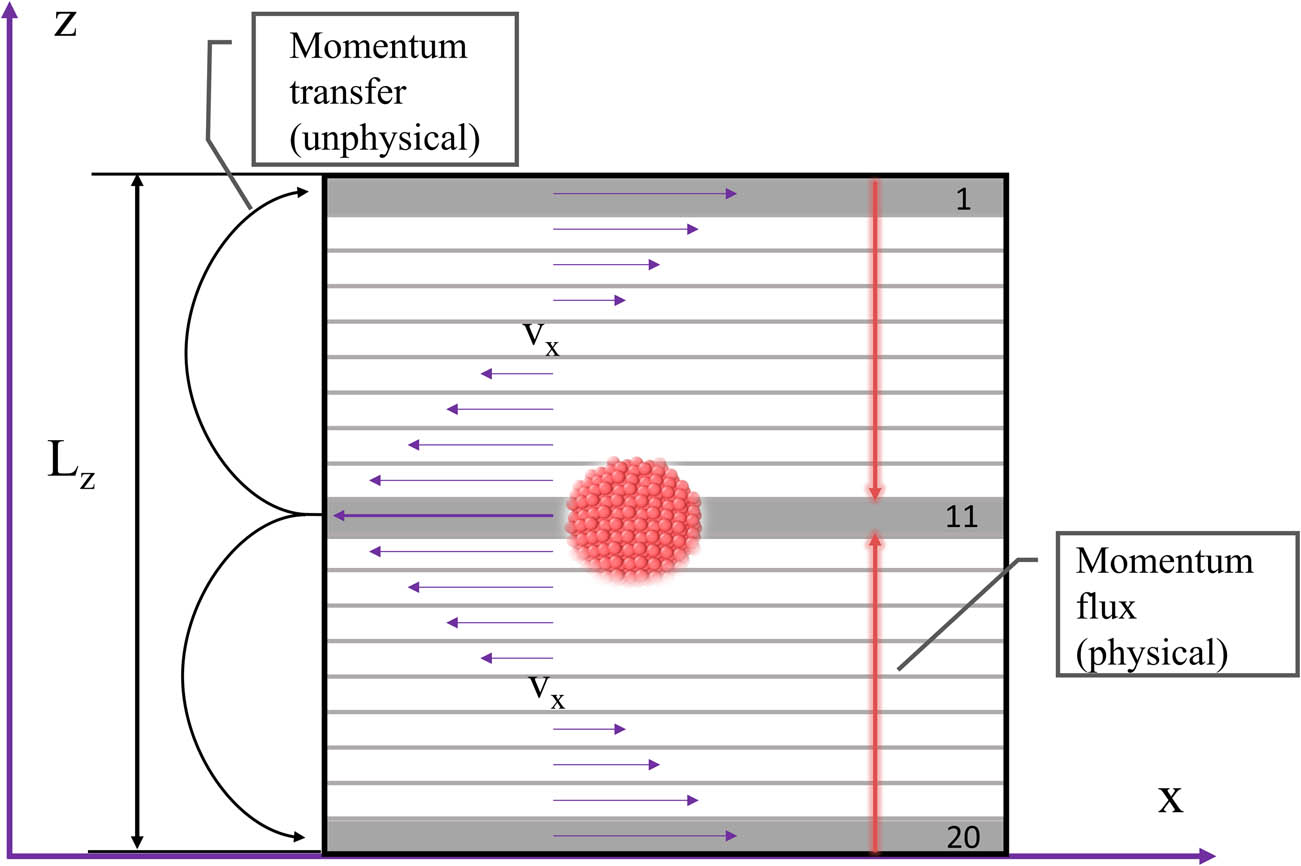 Figure 2 
                  Geometry of the non-equilibrium in the simulated nanofluids.
               