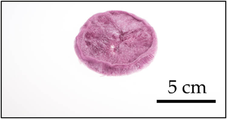 Teaser image from the article