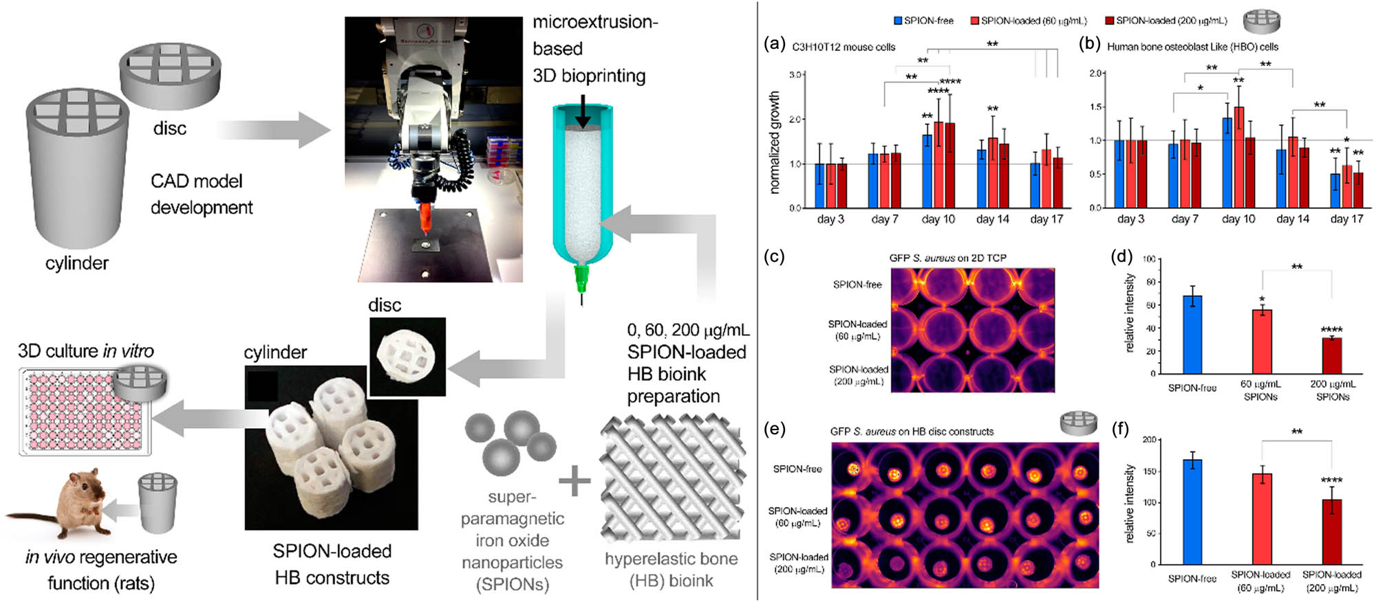 Figure 4 
                  LEFT: Schematic summary of the experimental method used in this study. RIGHT: Characterization of cellular and bacterial response to bioprinted HB constructs in vitro. (a and b) Cellular growth (normalized to day 3) for C3H10T12 mouse cells (a) and human bone osteoblast (HBO) cells (b), measured by the noninvasive AlamarBlue assay for 17 days of in vitro culture. (c–f) Bacteriostatic effects of SPION in 2D culture (c and d) and SPION-loaded HB constructs (e and f) were evaluated by culturing GFP + S. aureus onto scaffolds for 24 h (c and e) and measuring fluorescence signals (d and f). * p < 0.05, ** p < 0.01, and **** p < 0.0001 (reproduced with permission from Shokouhimehr et al. [48]).
               