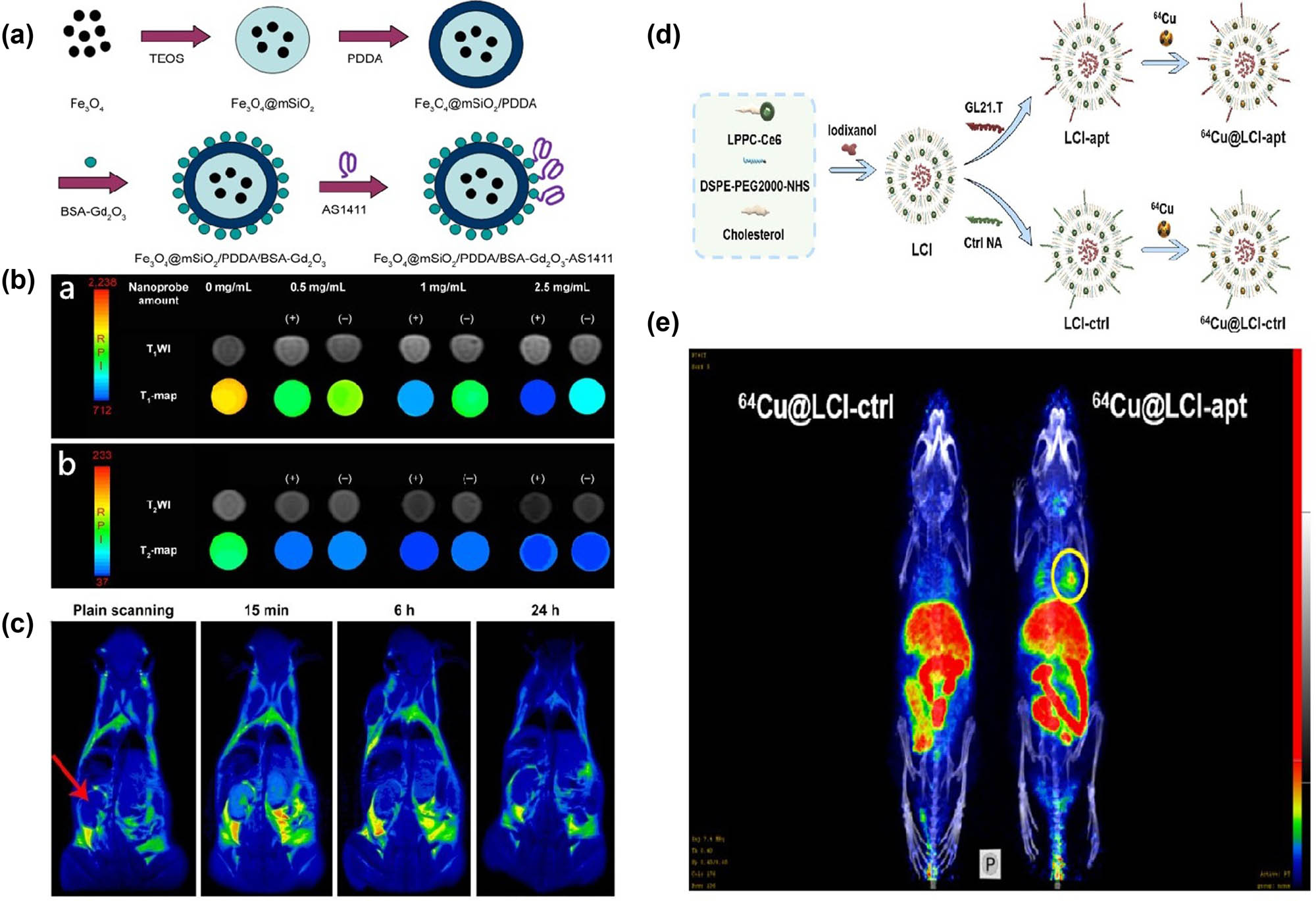 Figure 7 
                  (a) Schematic illustration of the fabrication process of the Fe3O4@mSiO2/PDDA/BSA-Gd2O3-AS1411 nanoprobes. (b) T1-weighted MRI and T1-map images (b(a)) as well as T2-weighted MRI and T2-map images (b(b)) of 786-O renal carcinoma cells treated with different concentrations of the Fe3O4@mSiO2/PDDA/BSA-Gd2O3 and Fe3O4@mSiO2/PDDA/BSA-Gd2O3-AS1411. (c) T1-weighted in vivo MRI of mice post-injection of the Fe3O4@mSiO2/PDDA/BSA-Gd2O3 at different time points. (d) Schematic diagram of the construction of 64Cu-labeled lipid nanocapsules. (e) In vivo PET/CT fusion imaging. Mice bearing orthotopic A549 lung tumor was intravenously injected with 64Cu@LCI-ctrl or 64Cu@LCI-Apt. Images were acquired at 4 h post-injection. Figure 7a–c were reproduced with permission from ref. [47], Copyright 2018, DMP. (d) and (e) were reproduced with permission from ref. [77], Copyright 2022, Elsevier.
               