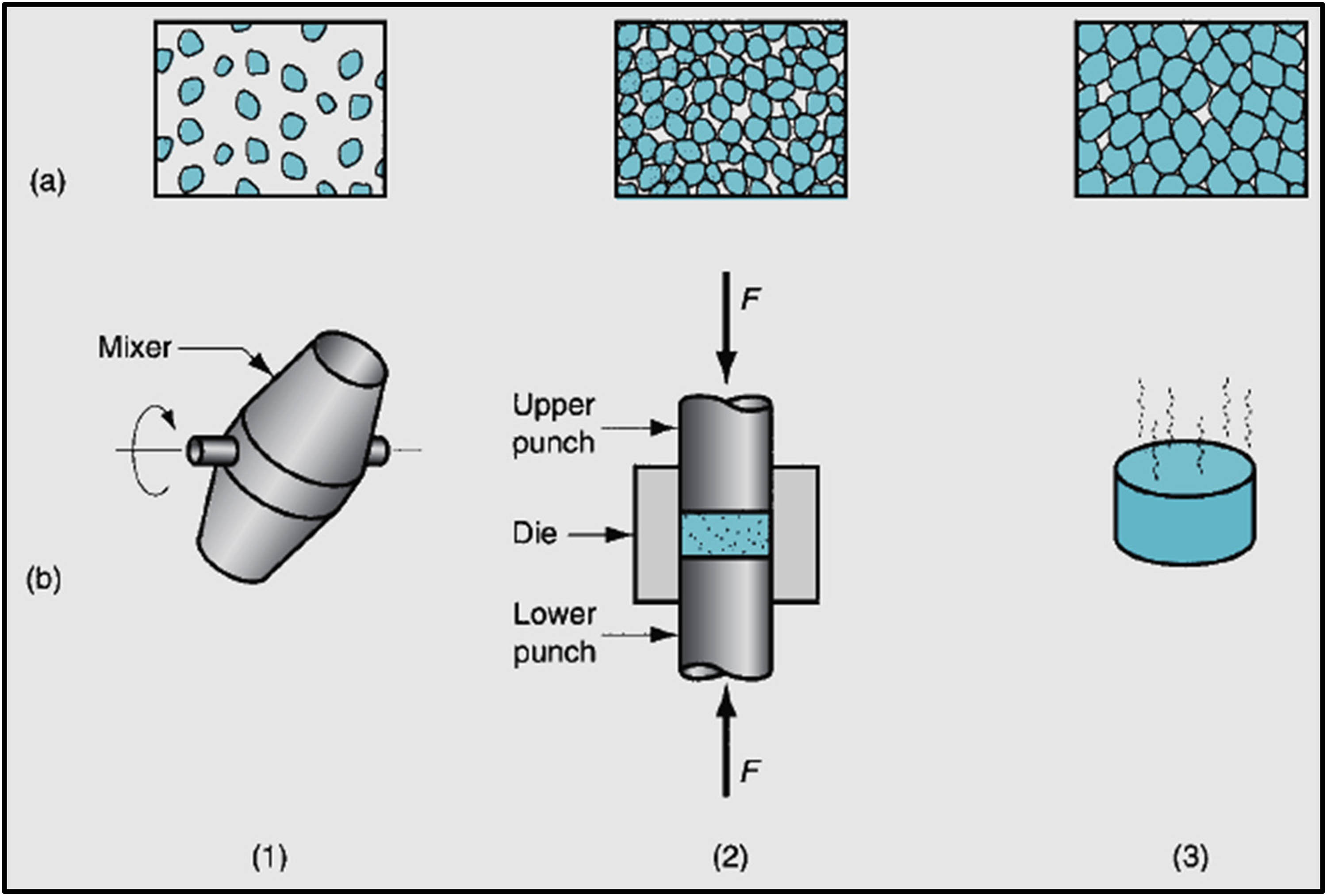 Figure 10 
                     The conventional PM production sequence: (1) blending, (2) compacting, and (3) sintering; (a) the condition of the particles; (b) the operation and/or work part during the sequence [150].
                  