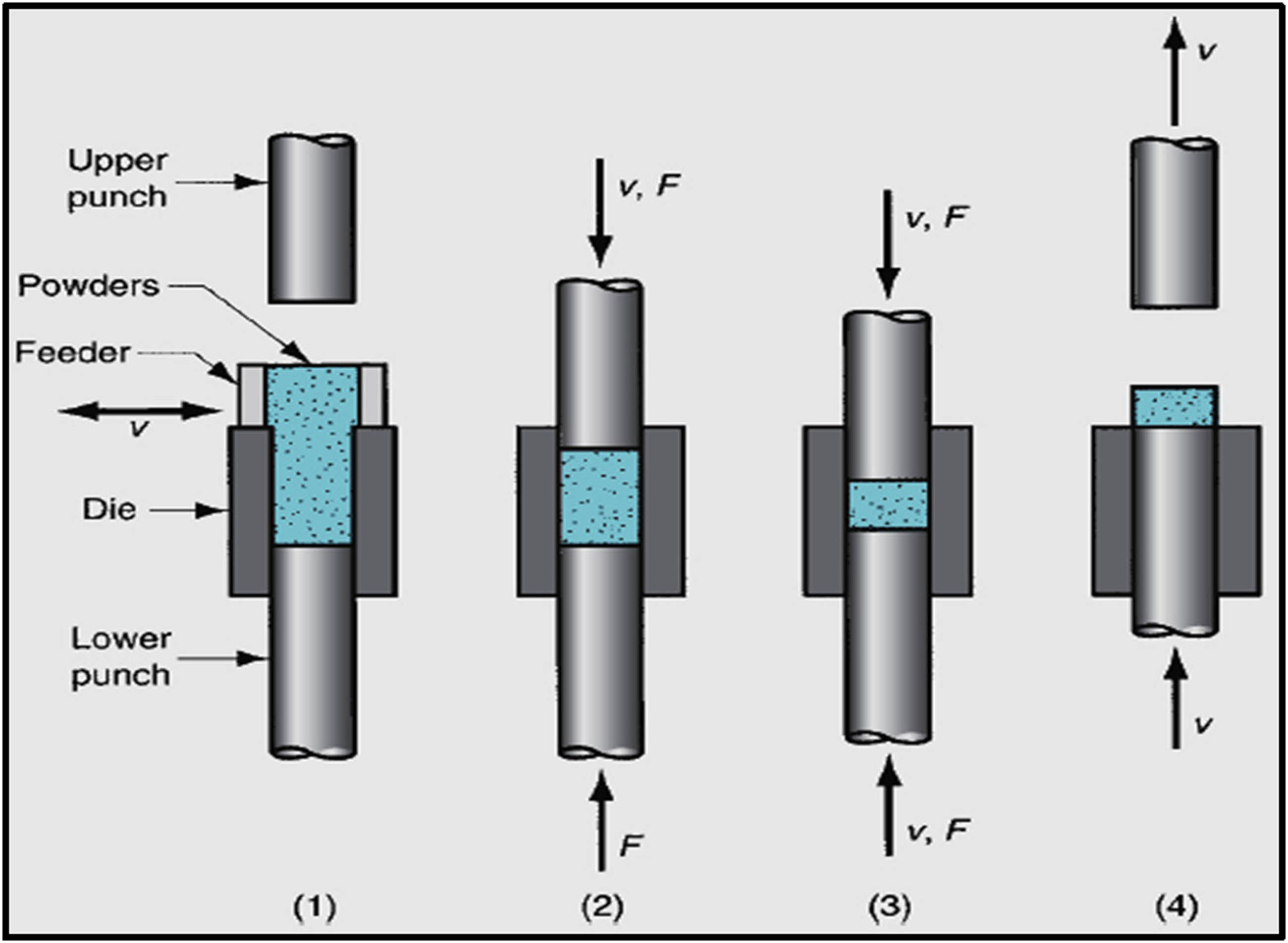Figure 14 
                        Pressing the common method of compacting powders in PM: (1) filling the die with the powder, (2) initial, and (3) final positions of upper and lower punches during compaction, and (4) ejection of the part [150].
                     