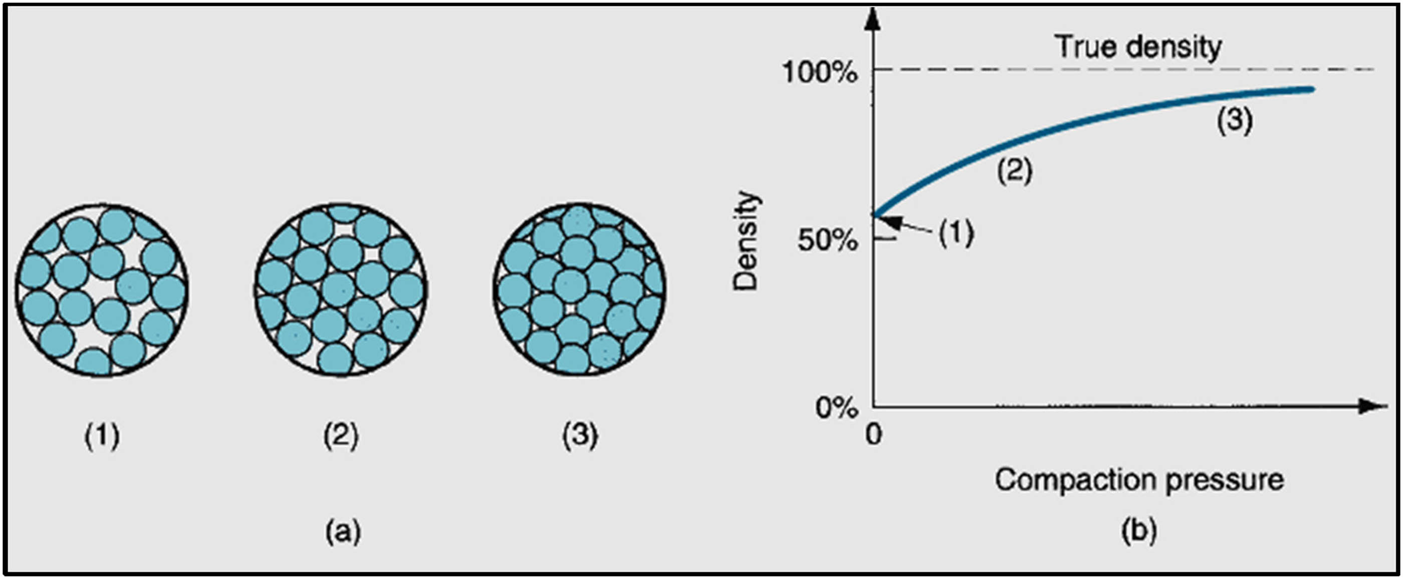 Figure 15 
                        Influence of pressure during compaction: (1) loose particles at first after filling, (2) refilling, and (3) particle deformation; and (b) particles’ density in relation to pressure. Here, the order is step-based 1, 2, and 3 in Figure 2.8 [150].
                     