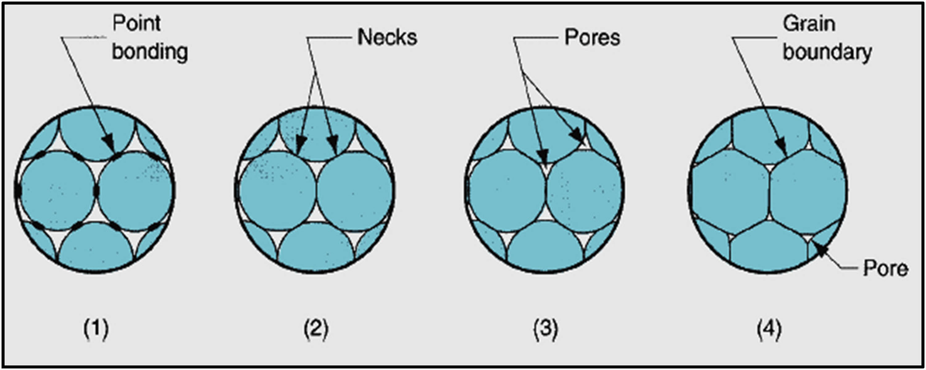 Figure 16 
                        Sintering on a microscopic scale: (1) particle bonding is initiated at contact points; (2) contact points grow into “necks”; (3) the pores between particles are reduced in size; and (4) grain boundaries develop between particles in place of the necked regions [150].
                     