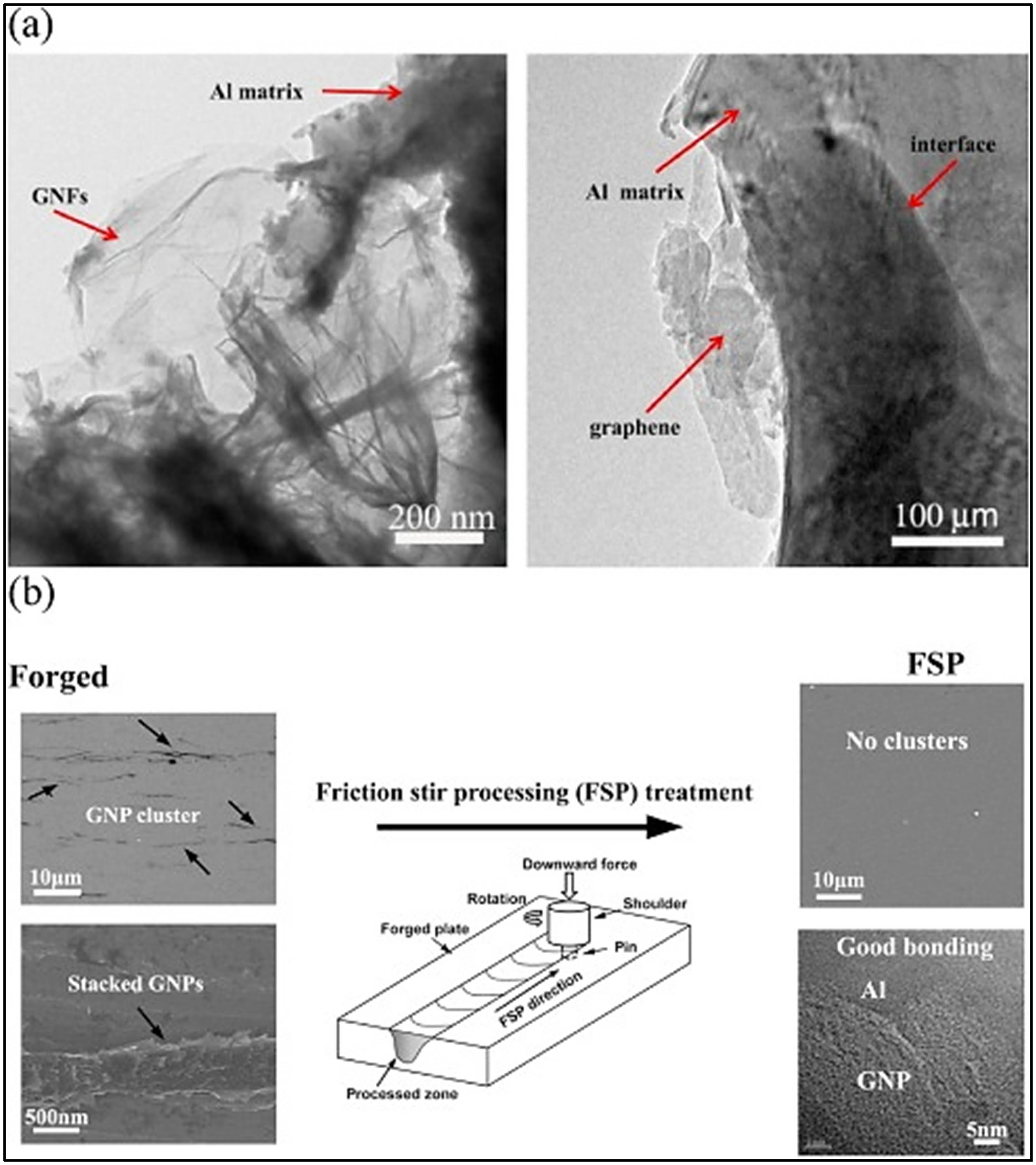 Figure 19 
                     Effect of the processing technique on Al–graphene composites, (a) Al–GNPs (0.15 wt%) morphology [160]. (b) GNP distribution in Al–graphene composites [161].
                  