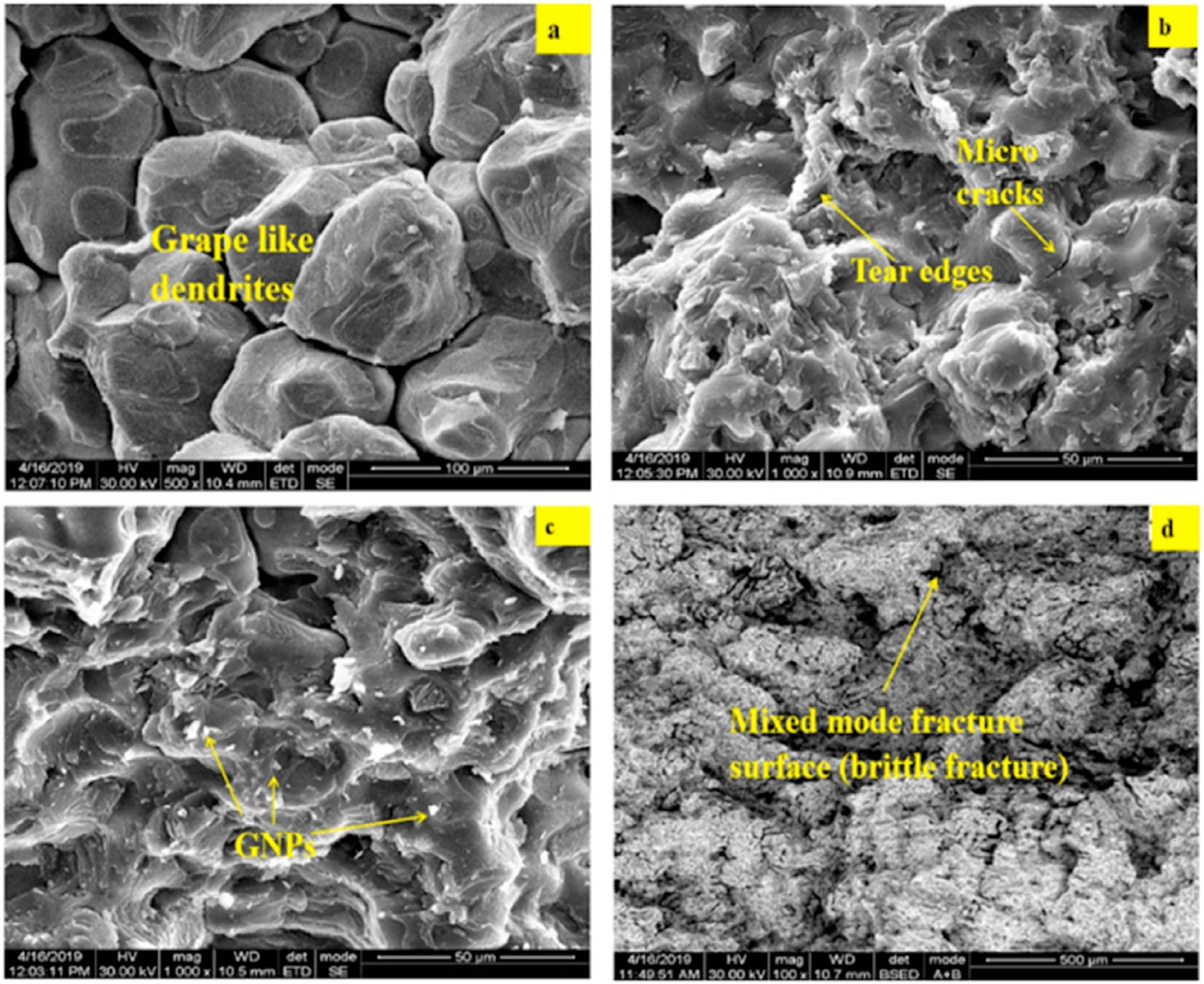 Figure 30 
                  SEM morphologies of fractured surfaces: (a) AA 7075, (b) 0.1 wt% GNP, (c) 0.3 wt% GNP, and (d) 0.5 wt% GNP composite [107].
               