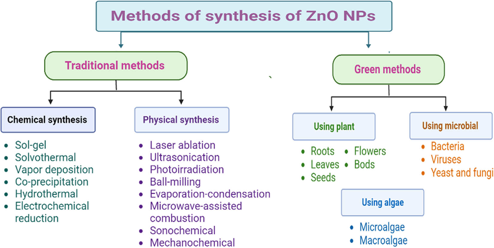 Figure 1 
               Methods employed in the synthesis of ZnO NPs.
            