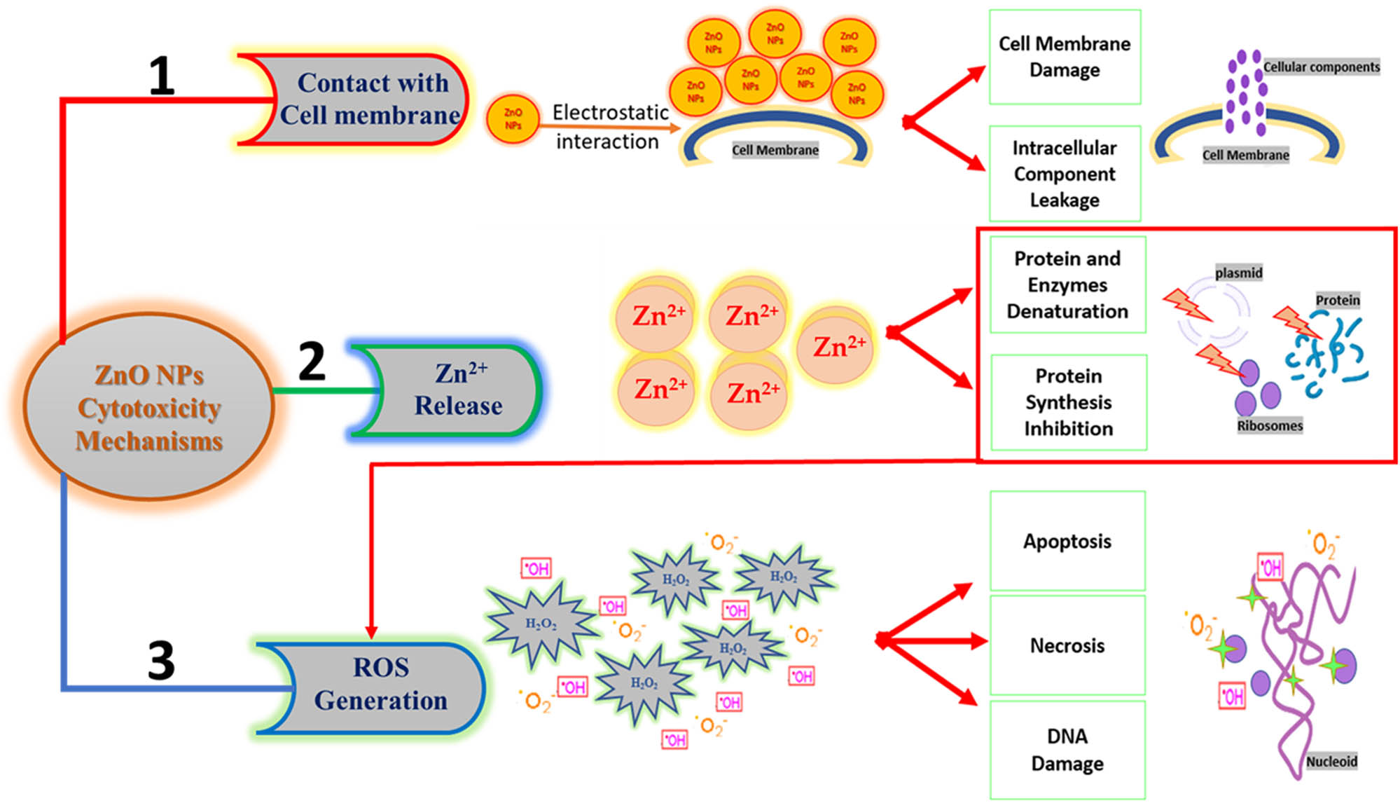Teaser image from the article