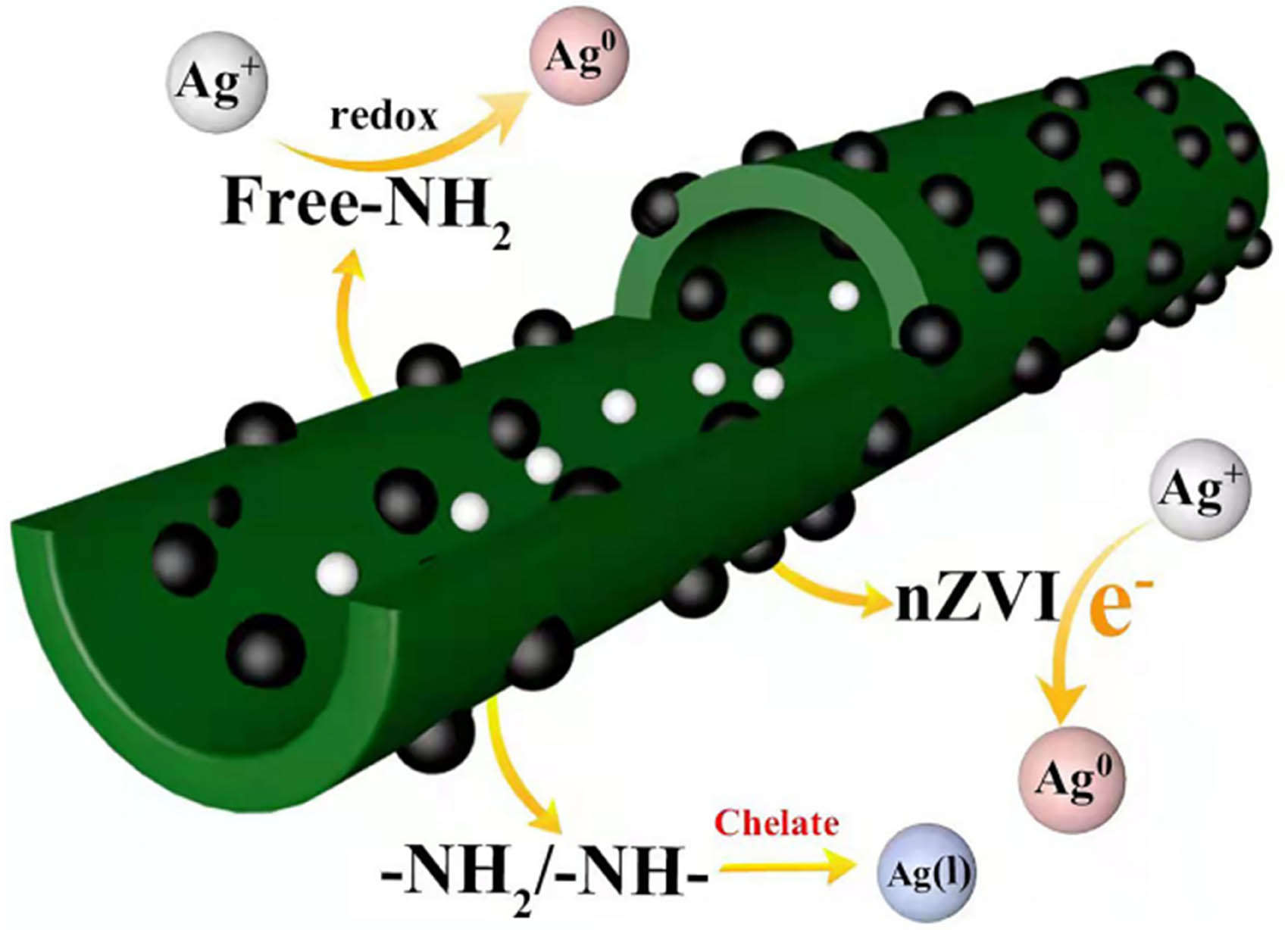 Figure 14 
                  The process of adsorption for Ag(i) by nZVI/CNT composites.
               