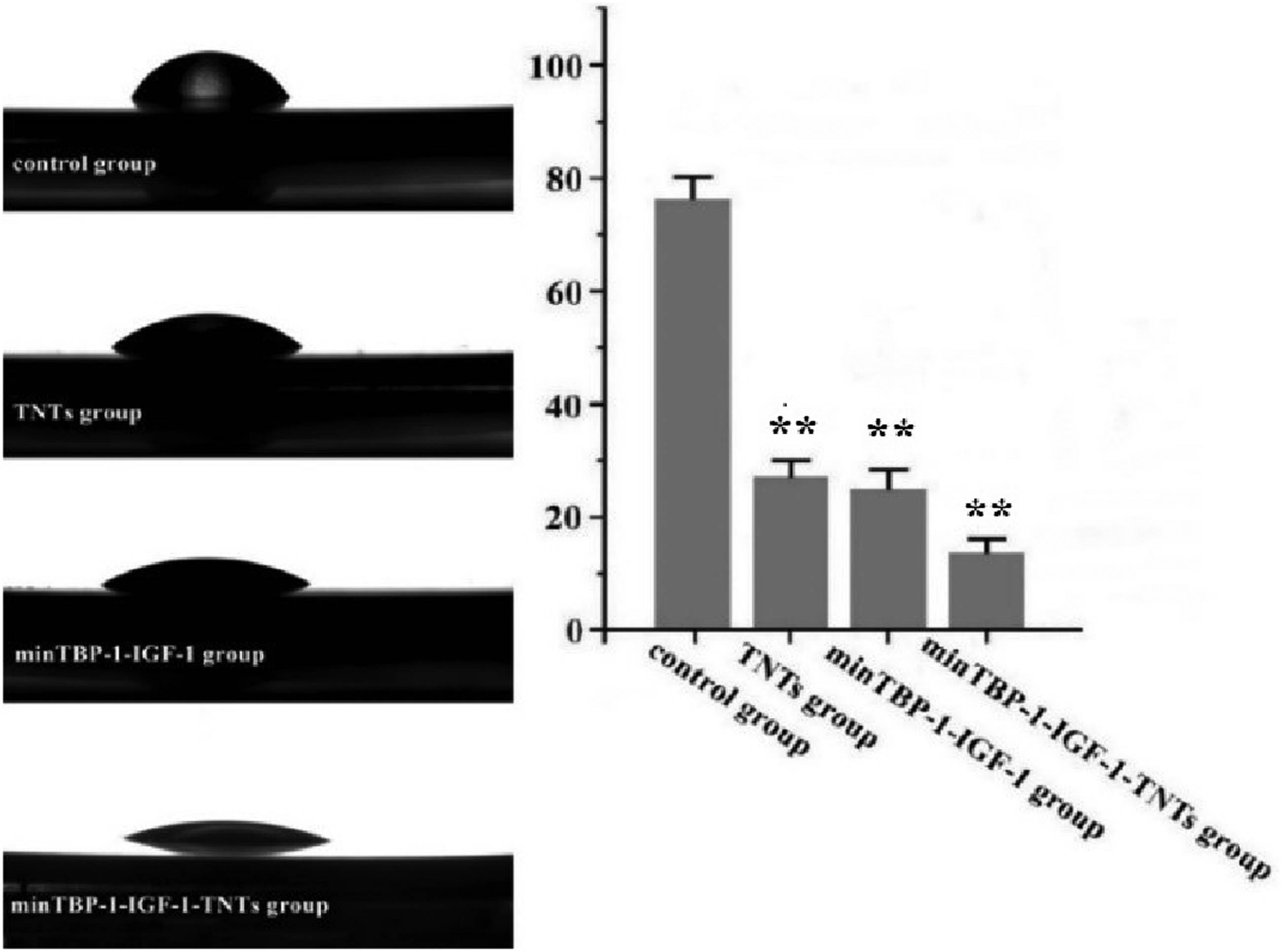 Figure 3 
                  Water contact angle of the modified interfaces. *p < 0.05, **p < 0.01, n = 10.
               