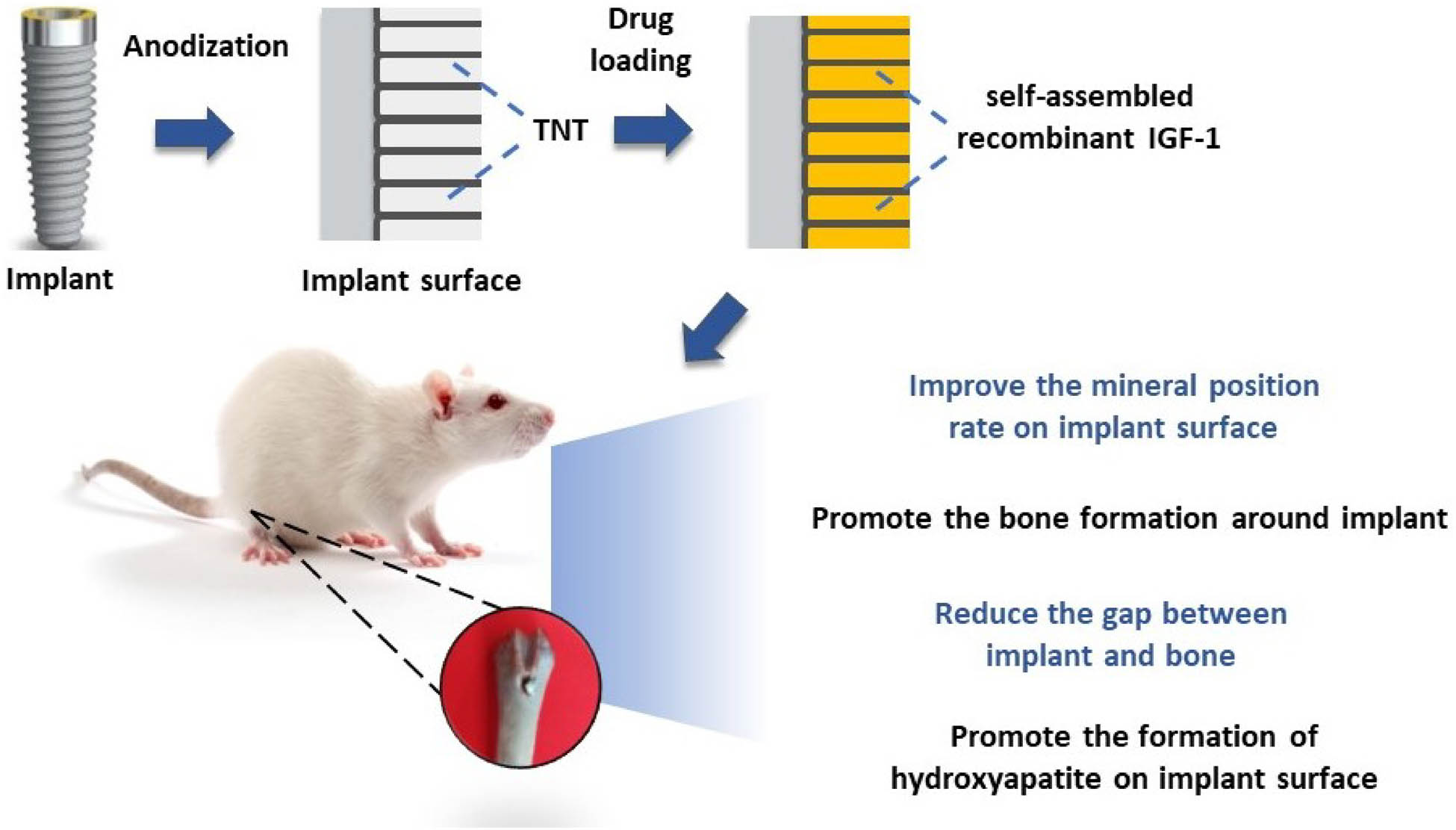 Teaser image from the article