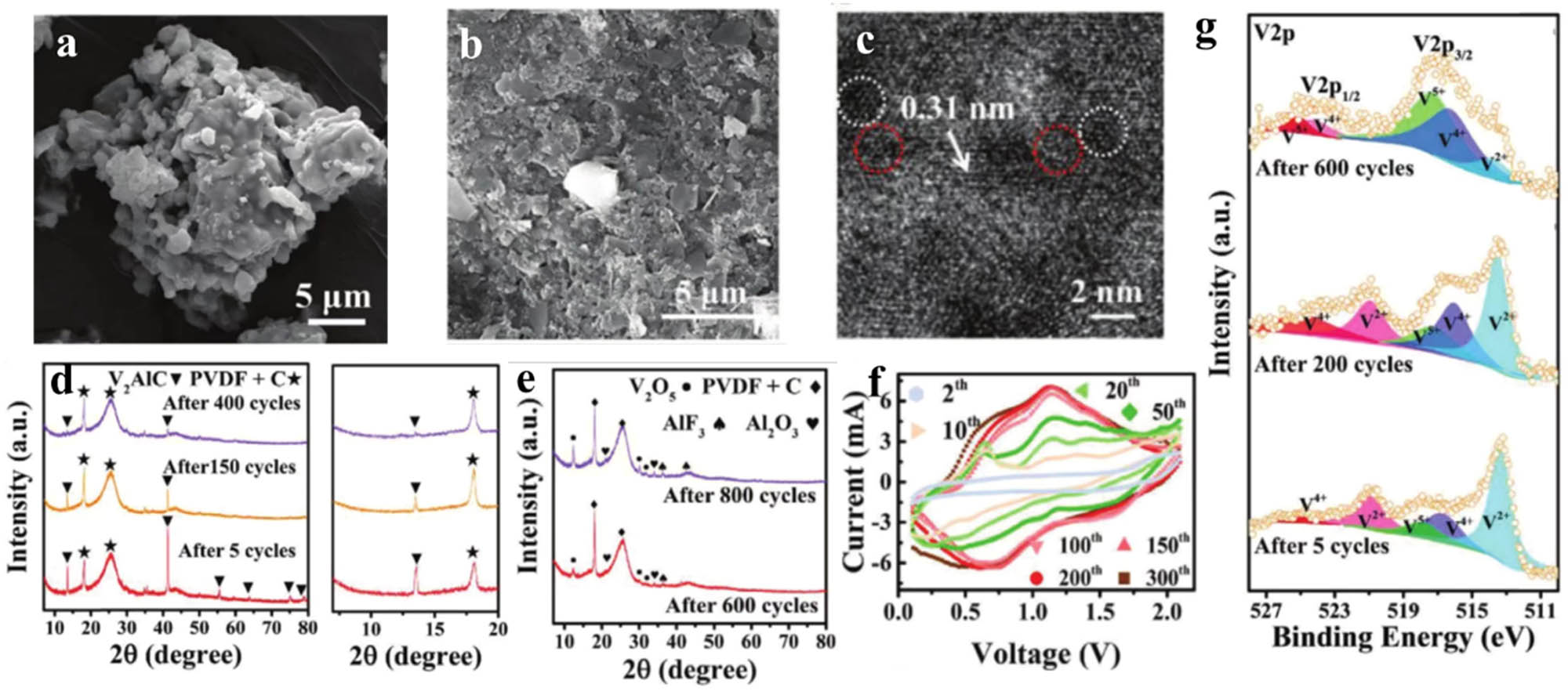 Figure 9 
                  (a) SEM image of V2AlC powders. (b) SEM images of the cathode after 400 cycles in the coin-type battery at 10 A g−1. (c) TEM image of V2O5/V2CT
                        x
                     . (d) XRD patterns of the cathode after 5, 150, and 400 cycle. (e) XRD patterns of the cathode after 600 and 800 cycles at 5 A g−1. (f) CV measurement of the battery from 0.1 to 2.1 V at 5 mV s−1. (g) Original and fitted V 2p XPS spectra of the cathode after 5, 200, and 600 cycles at 5 A g−1 [148]. Copyright 2020 Wiley-VCH GmbH.
               