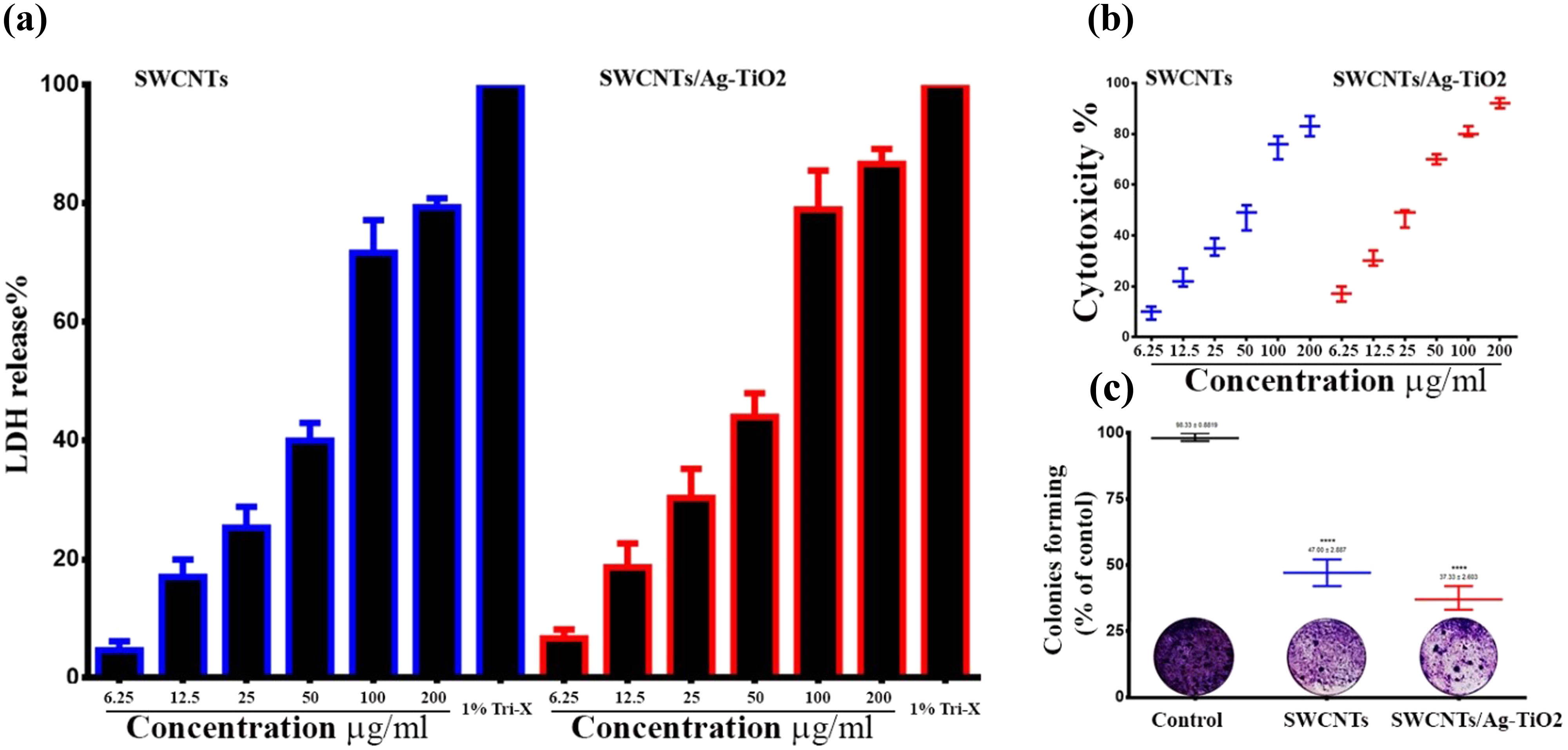 Figure 3 
                  Cytotoxic effects of SWCNTs and SWCNT/Ag–TiO2 NPs in liver cancer cells. (a) SWCNTs and SWCNT/Ag–TiO2 NPs increase LDH release in liver cancer cells. (b) Antiproliferative activity of SWCNTs and SWCNTs@Ag–TiO2 in liver cancer cells (Hep-G2) by MTT assay. (c) Colony-forming assay.
               