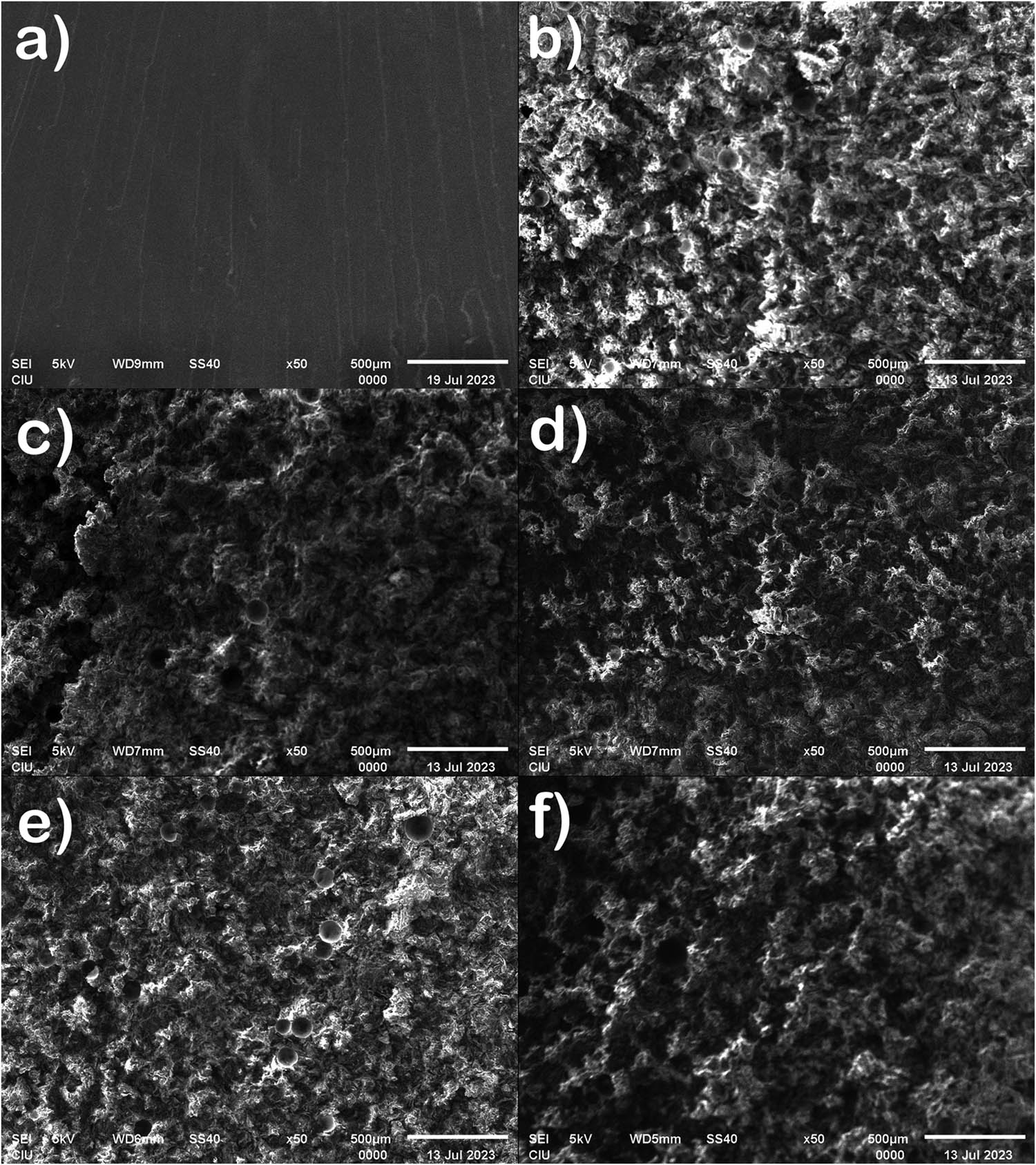 Teaser image from the article