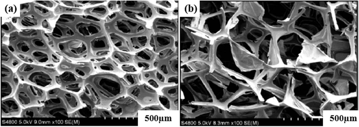 Figure 11 
                  Morphology of MF produced by different foaming methods: (a) oven foaming and (b) microwave foaming [29,62].
               
