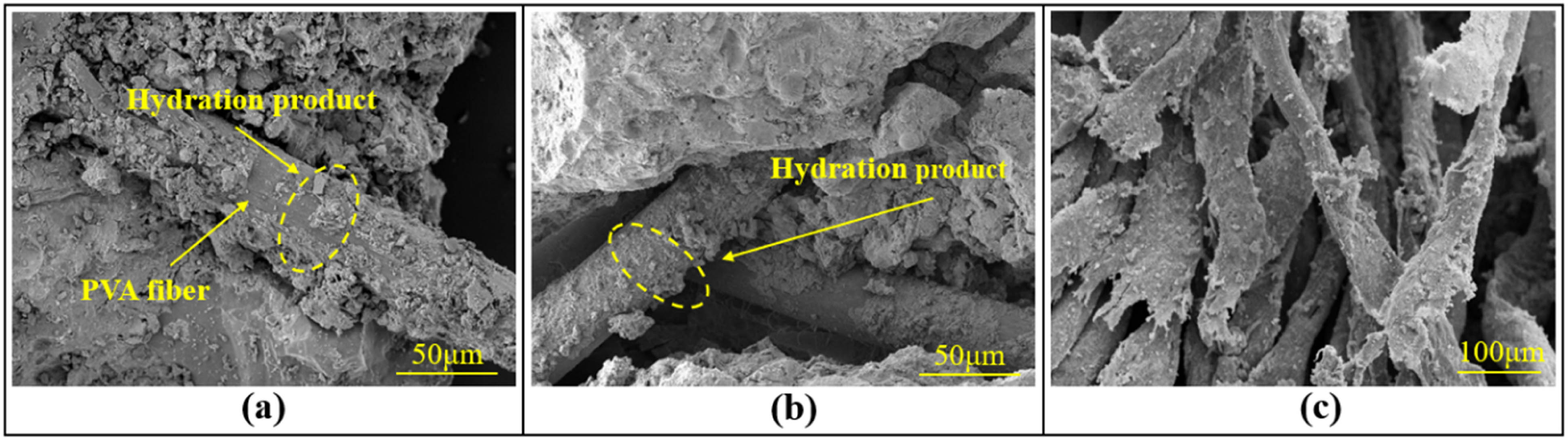 Figure 19 
                  Microstructure of PVA fibers: (a) before FTC, (b) after FTC, and (c) aggregation.
               