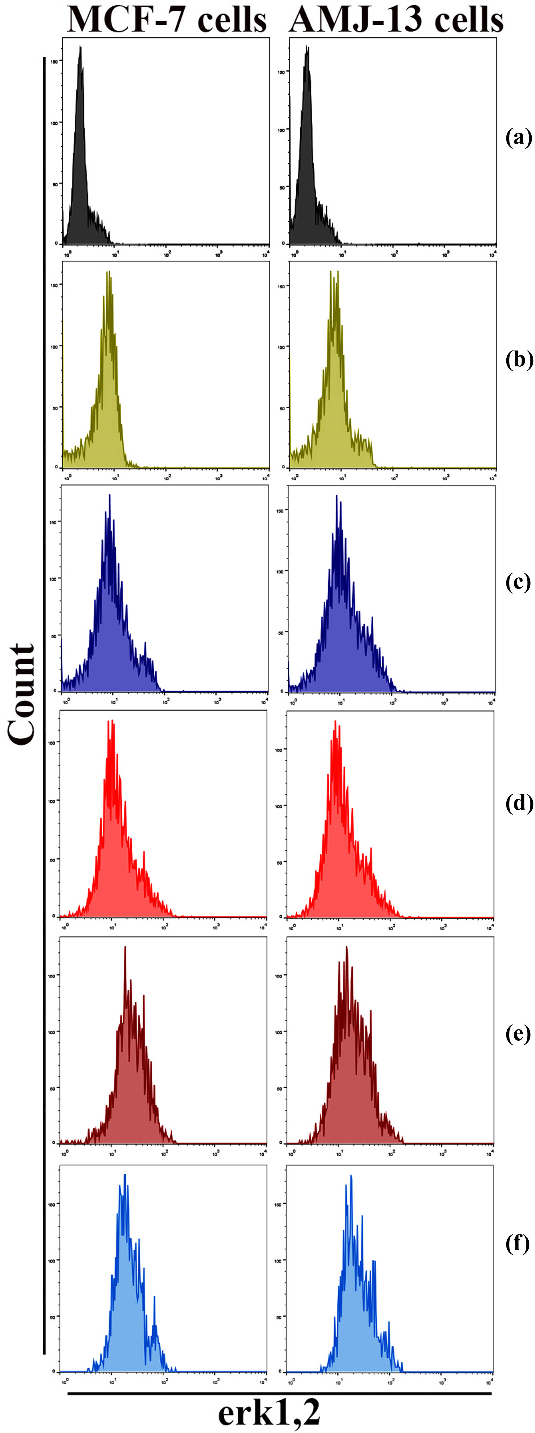 Figure 12 
                  GNPs loaded with TNF-α and combined with doxorubicin induce autophagy via erk 1, 2 pathways. (a) Control untreated cells. (b) TNF-α-treated cells. (c) GNPs-treated cells. (d) GNPs–TNF-α-treated cells. (e) Doxorubicin-treated cells. (f) GNPs–TNF-α–doxorubicin-treated cells.
               