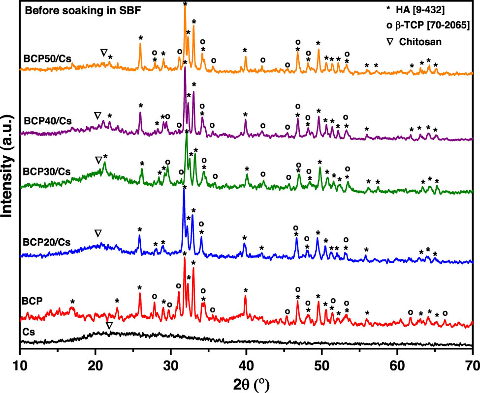 Figure 1
XRD patterns of Cs, BCP, and BCP/Cs composites with different BCP 20, 30, 40, and 50% contents; (∇) for Cs (*) for HA and (o) for β-TCP.