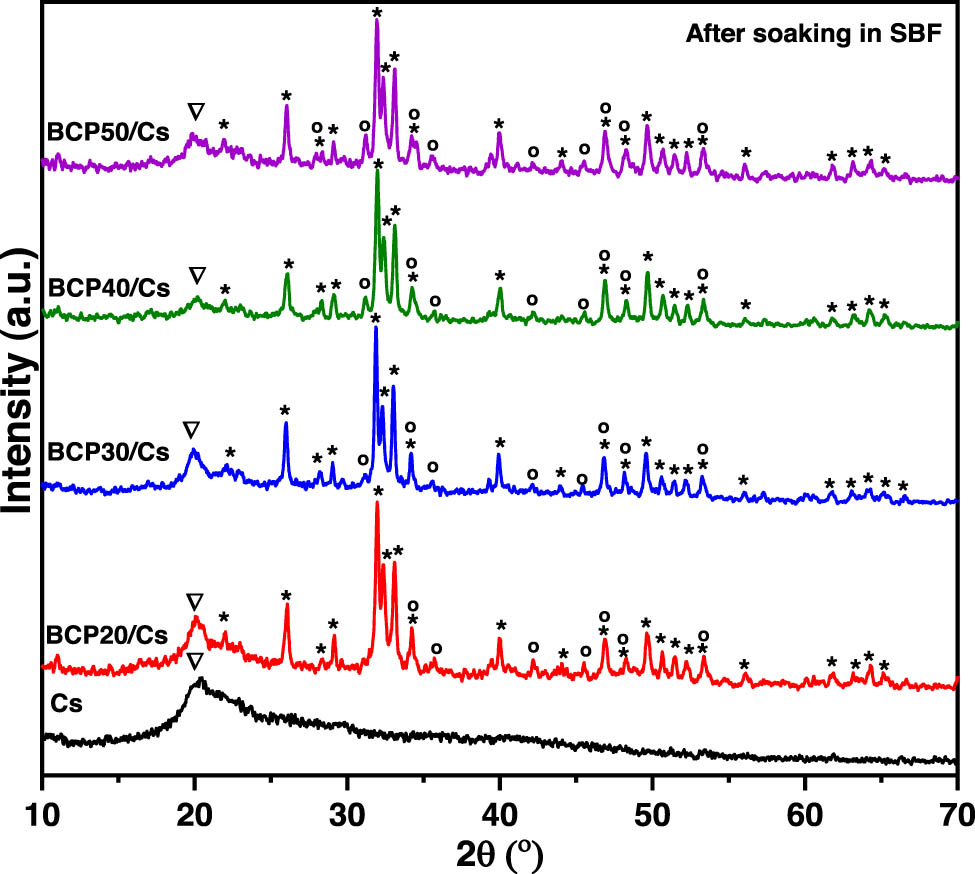 Figure 4
XRD patterns of Cs and BCP/Cs composites with different BCP contents (20, 30, 40, and 50%) after soaking in SBF.