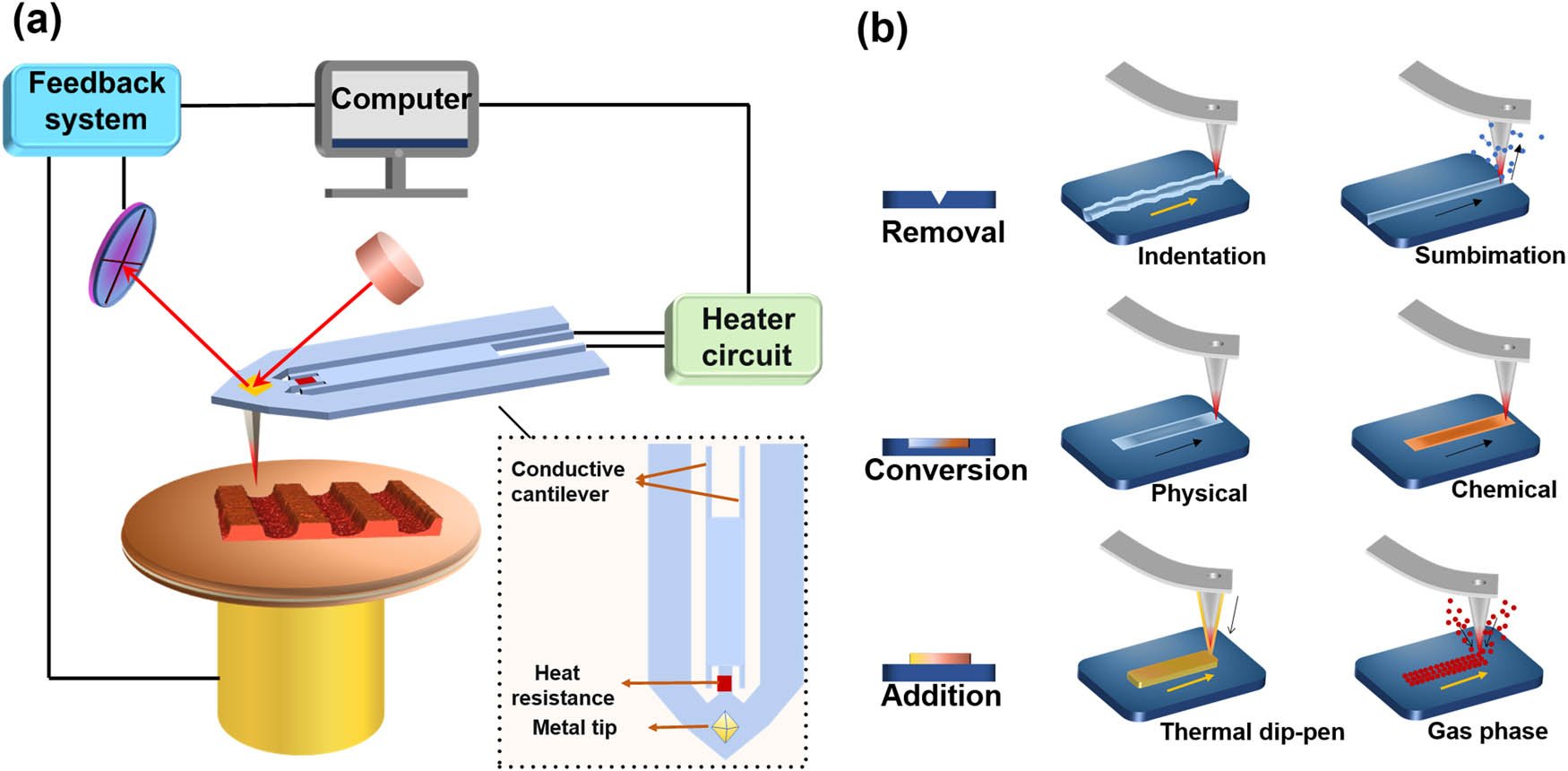 Figure 4
Working principle of AFM thermal processing. (a) Composition of an AFM thermal processing system and the probe structure. (b) Three types of AFM thermal processing: removal, conversion, and addition.