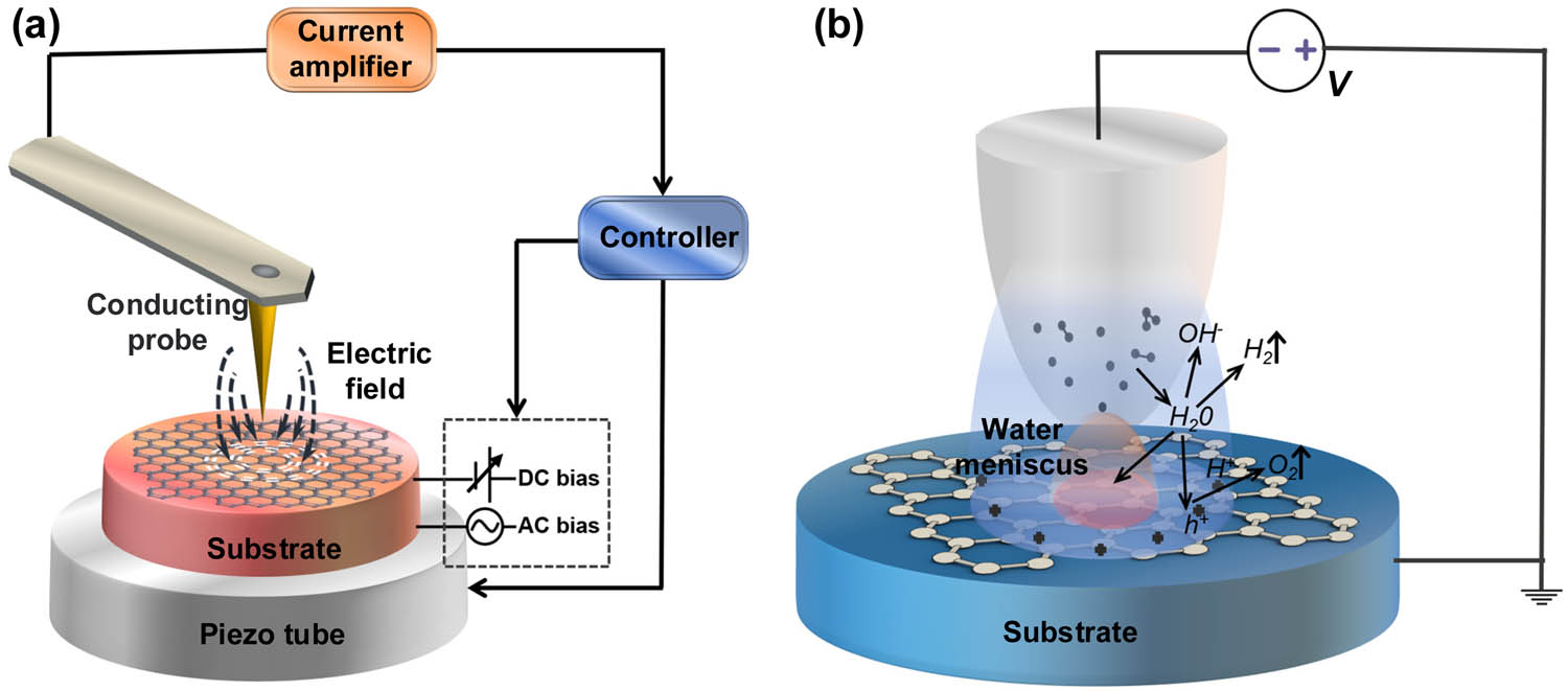 Figure 5
Working principle of AFM electrical nanomachining. (a) The general working principle of EFI lithography. (b) The working principle of l-OL.